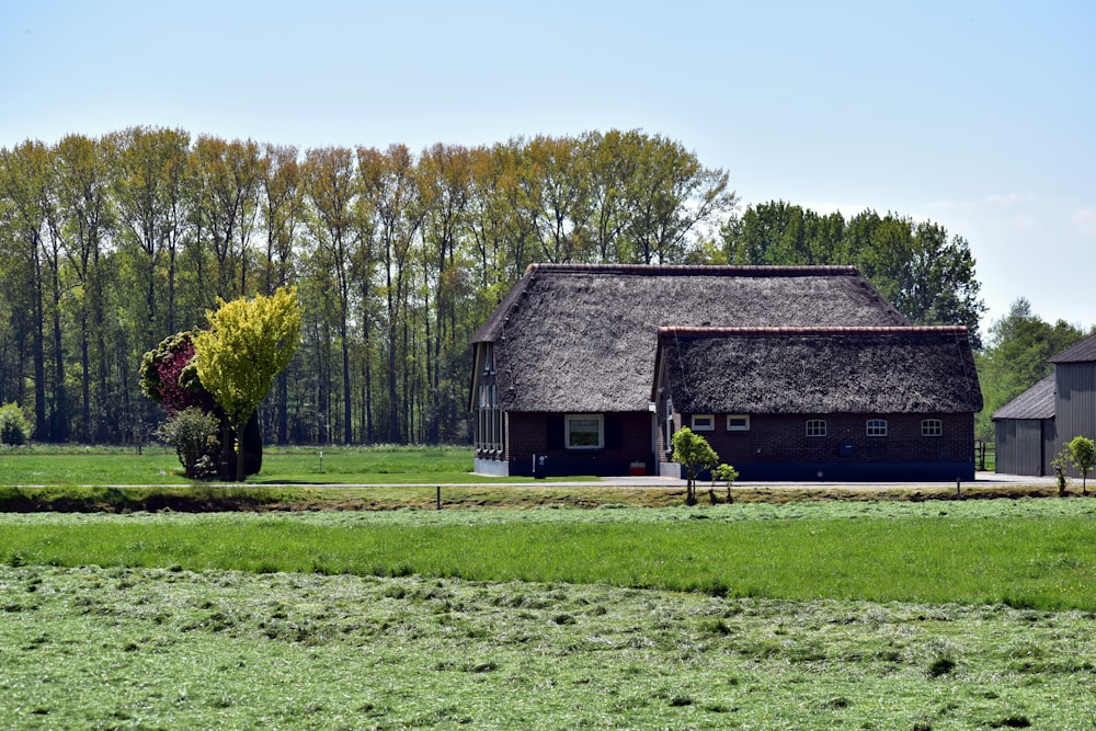 Una casa con techo de paja en un campo