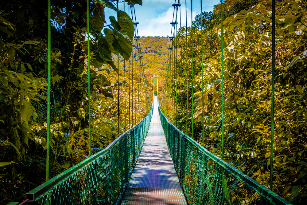 Puentes colgantes de Místico