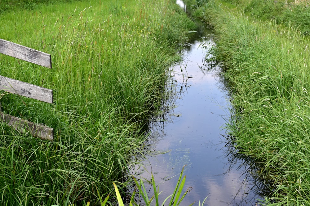 a small stream running through a lush green field