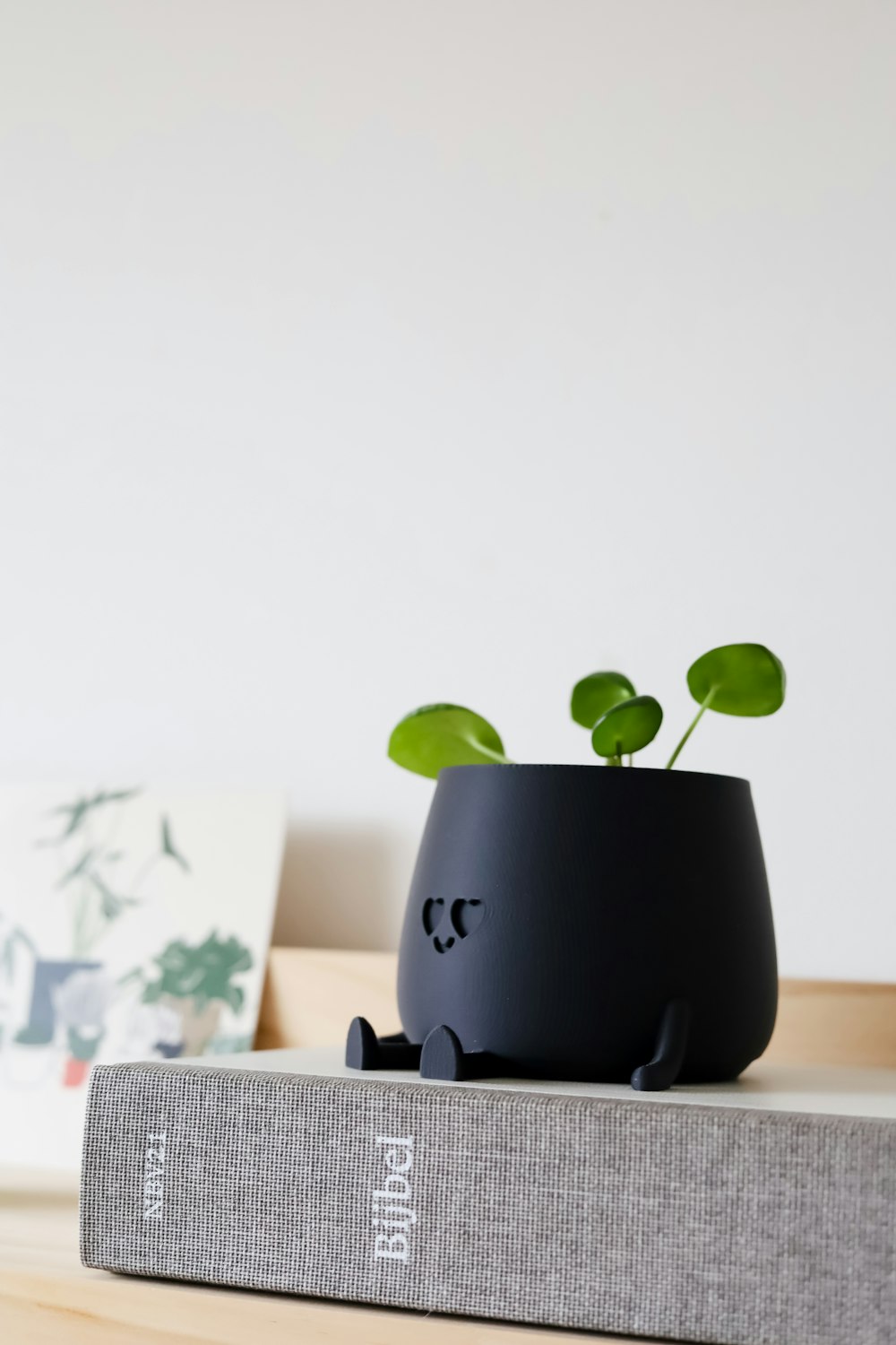 a black planter sitting on top of a book