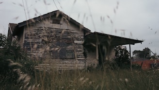 A charming, weathered UK house before renovation, surrounded by overgrown grass.
