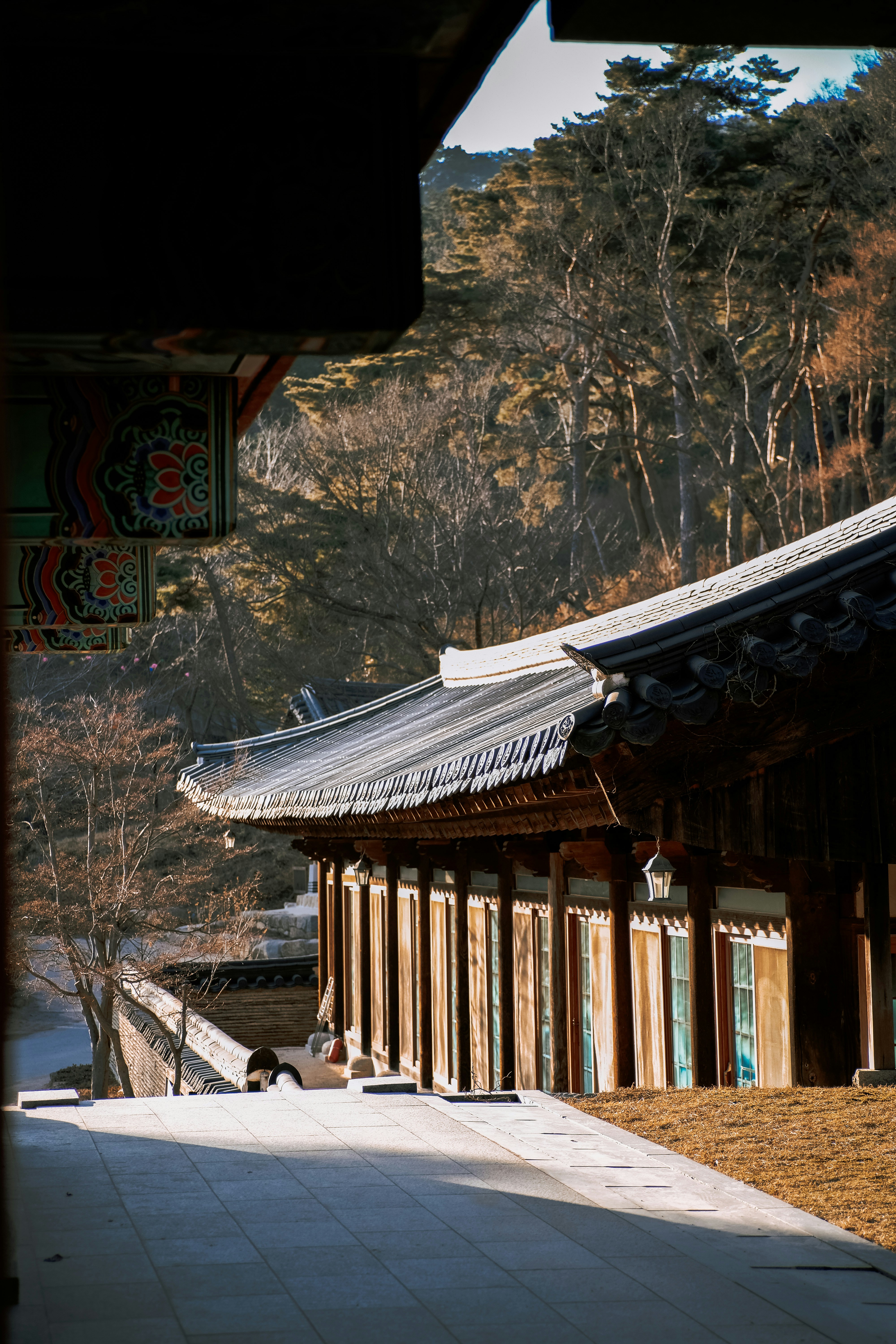 Understanding Korea's Digital Nomad Visa (F-1-D) Requirements