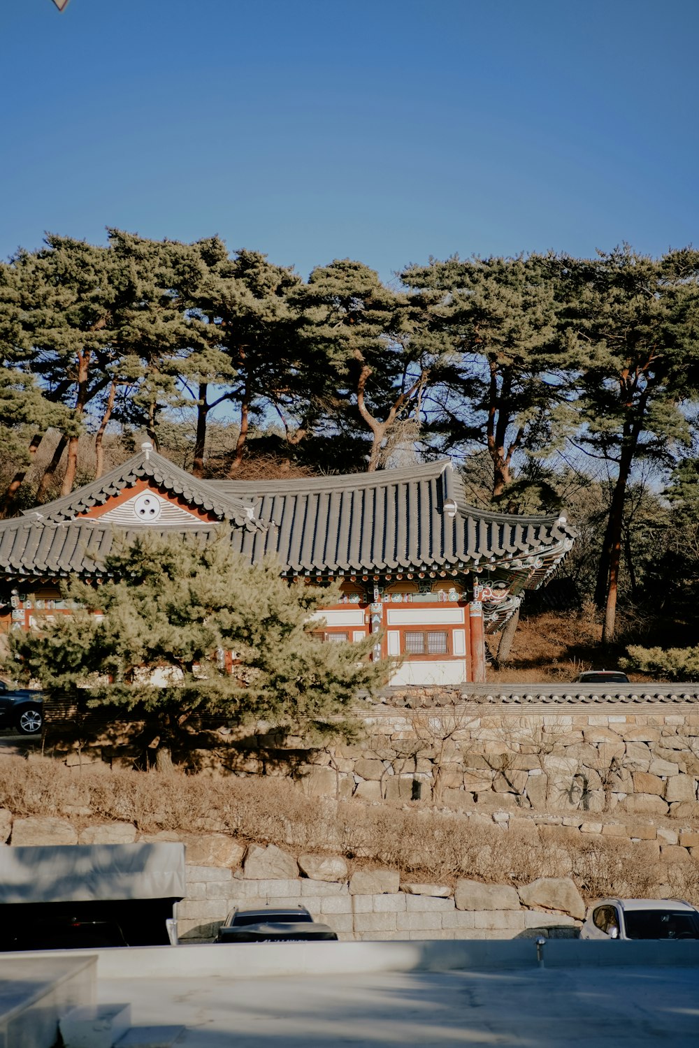 a building in the middle of a forest