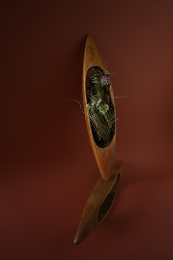 A sleek, elongated wooden sculpture with a hollow center is set against a rich brown background. The hollow contains green grass-like plants and purple flowers. The sculpture has a smooth, polished finish and is visually striking in its simplicity.