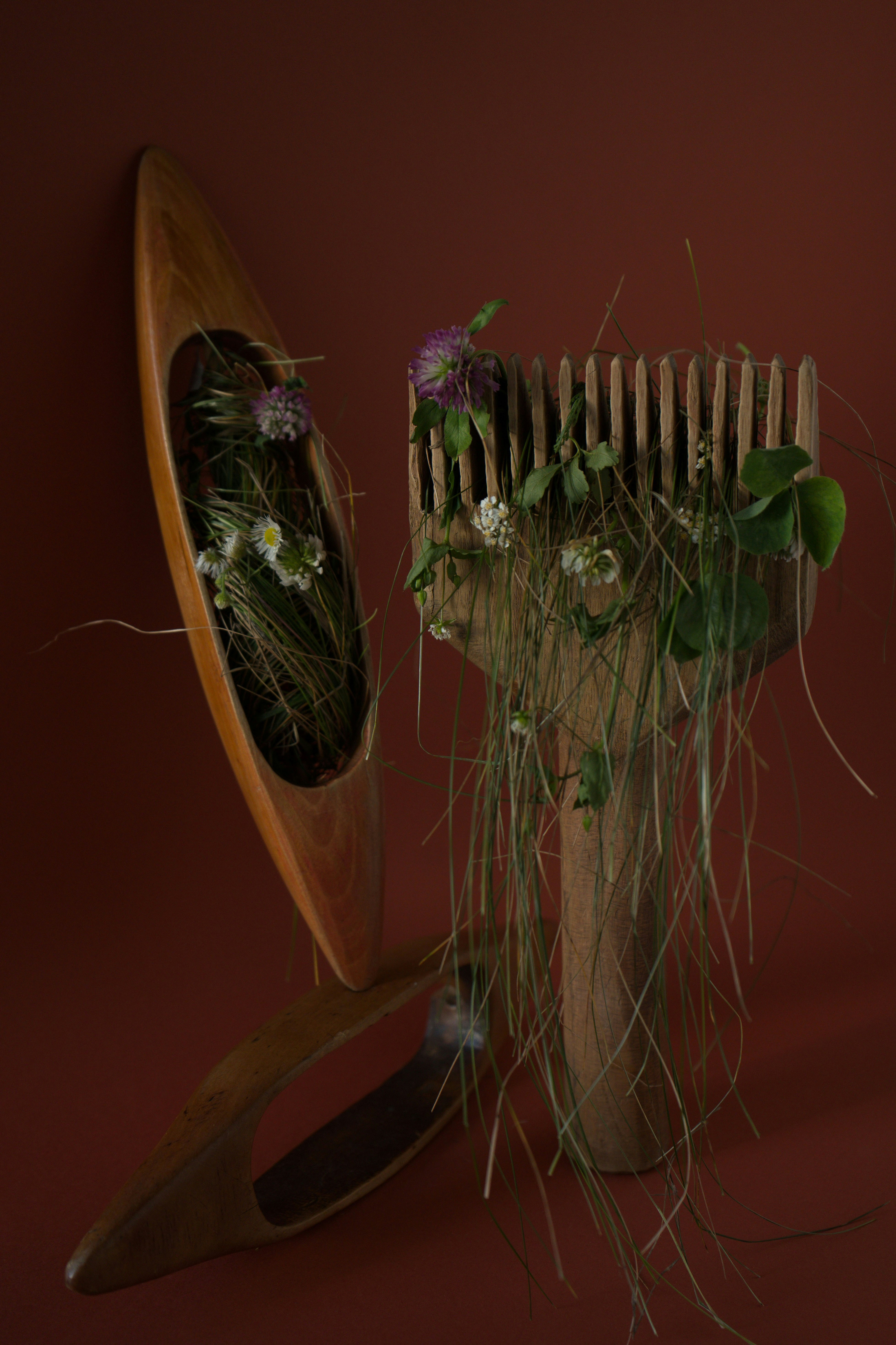 Botanical hair care products for healthy, vibrant hair