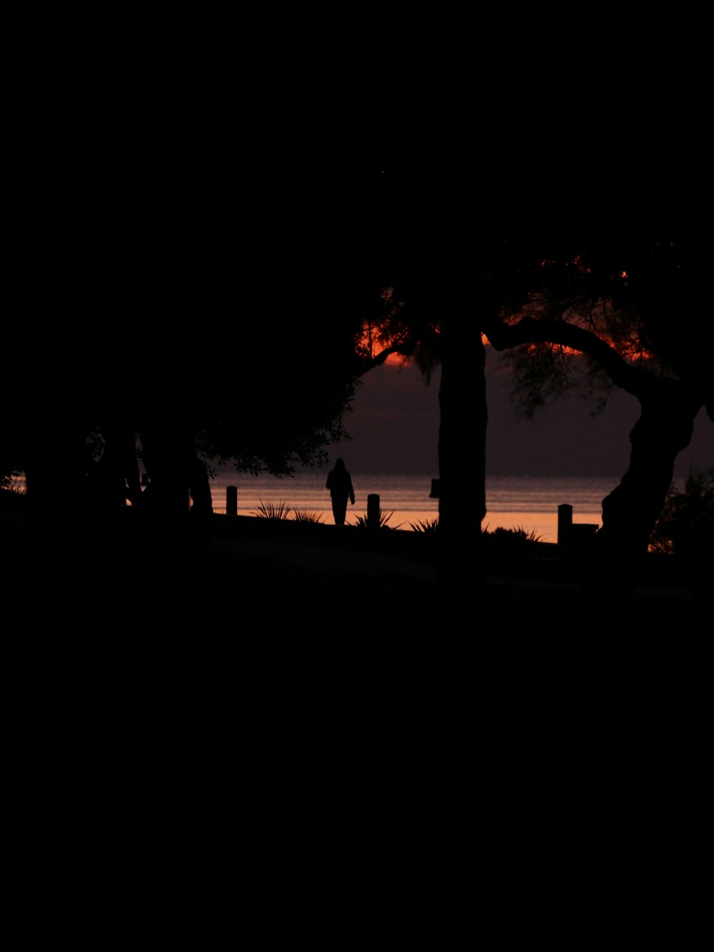 a group of people standing under a tree at night