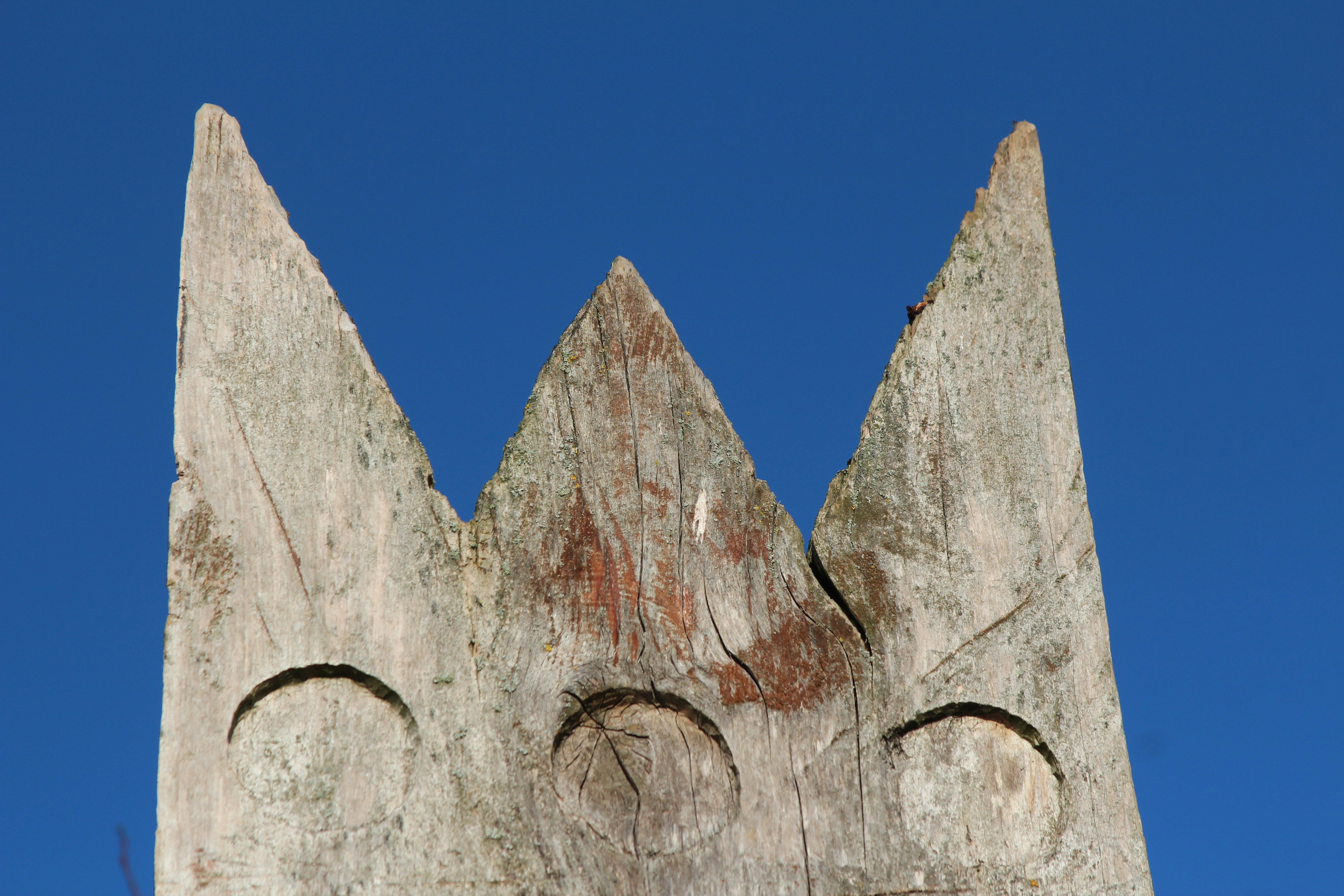 Photo by konstantingerz