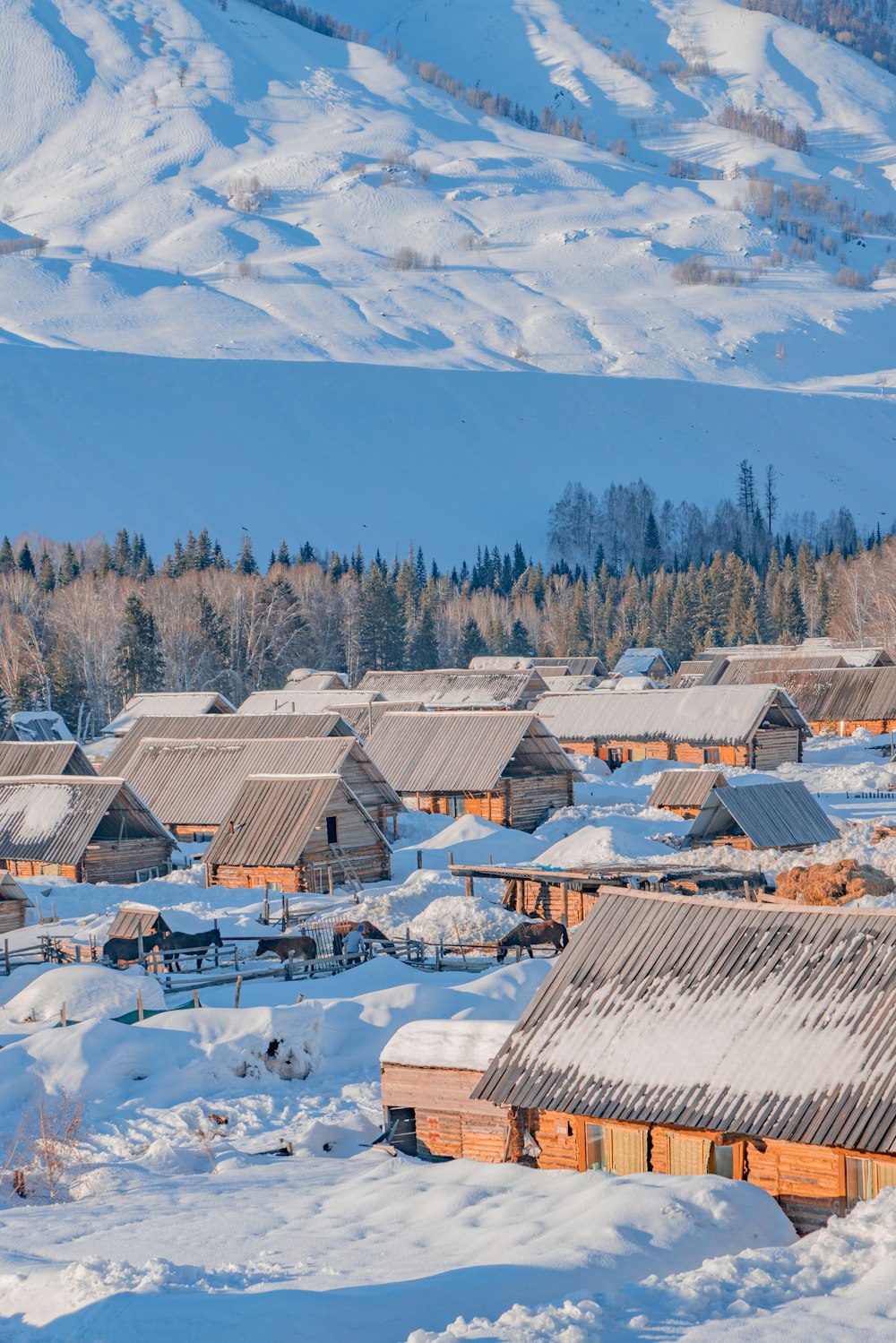 a group of wooden buildings in the snow