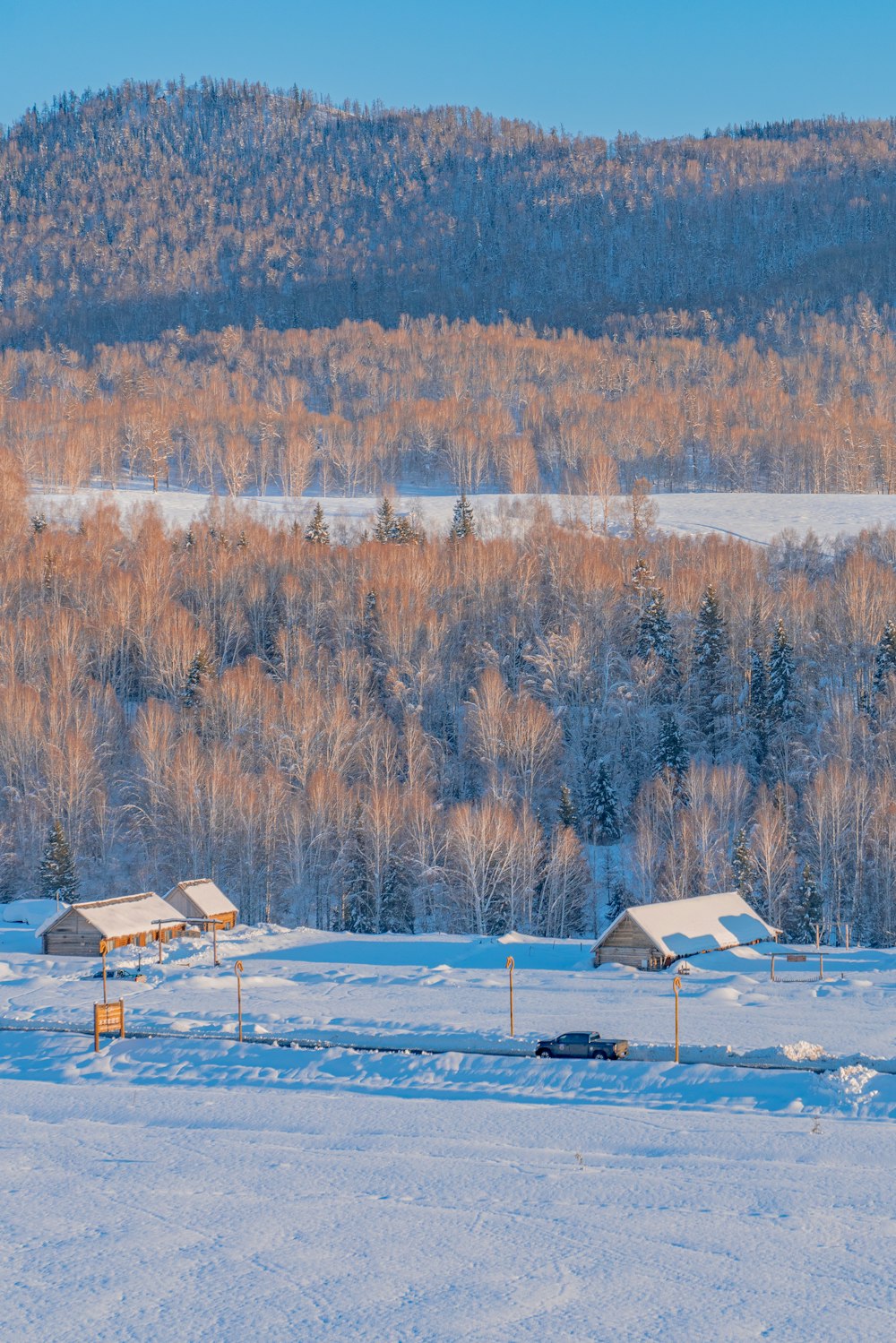 a snow covered field with a mountain in the background