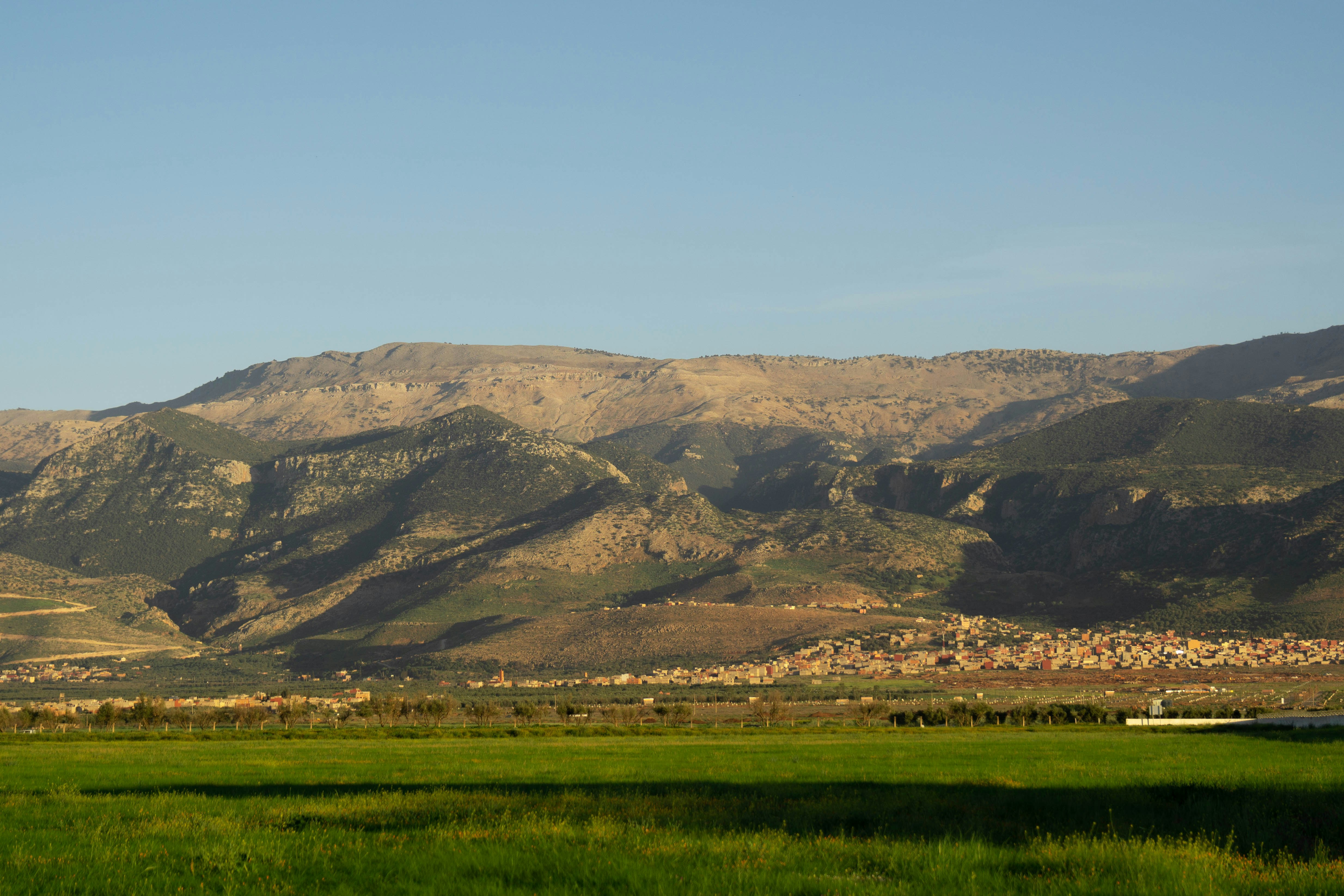 a green field with mountains in the background