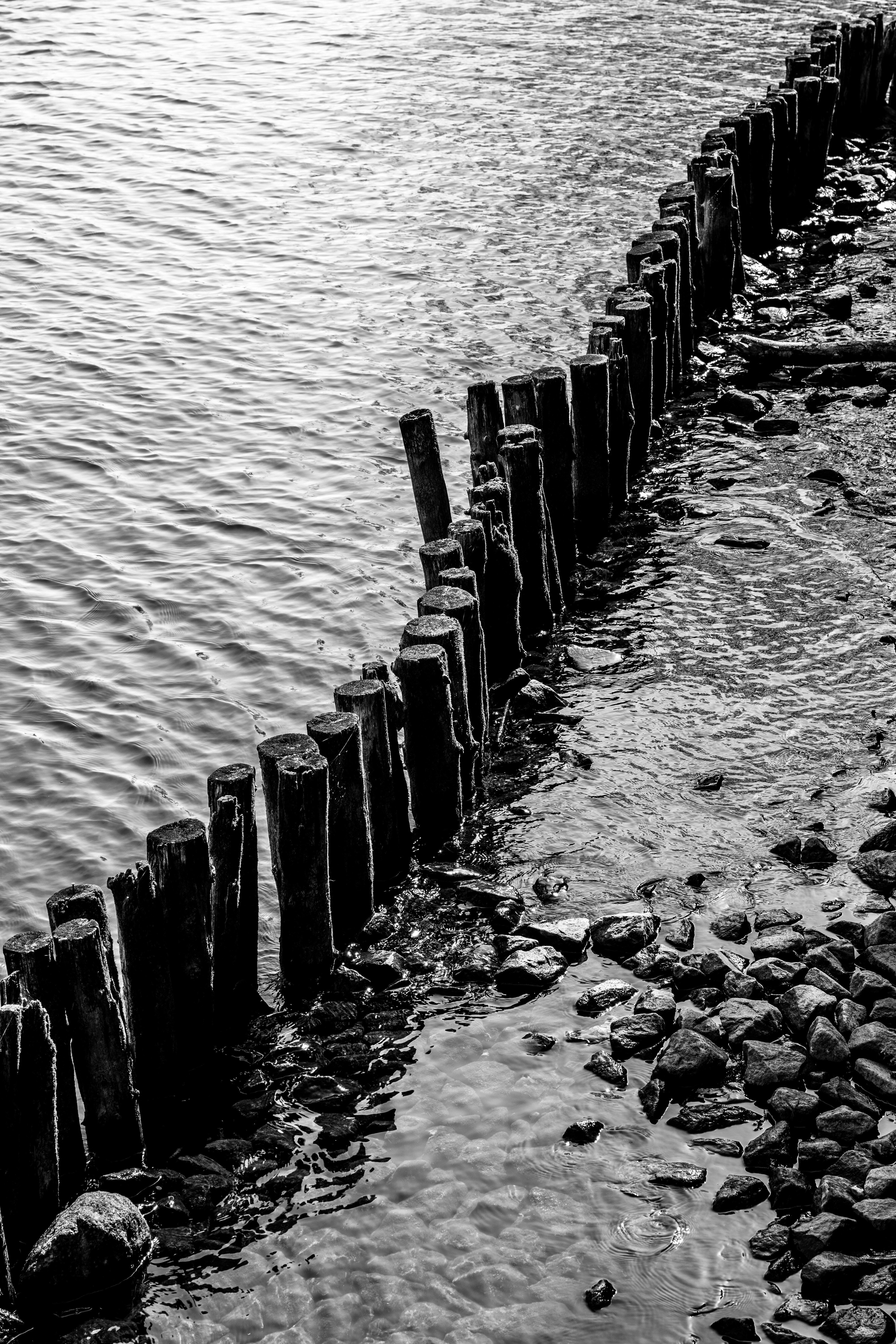 Photo by fabianbaechli