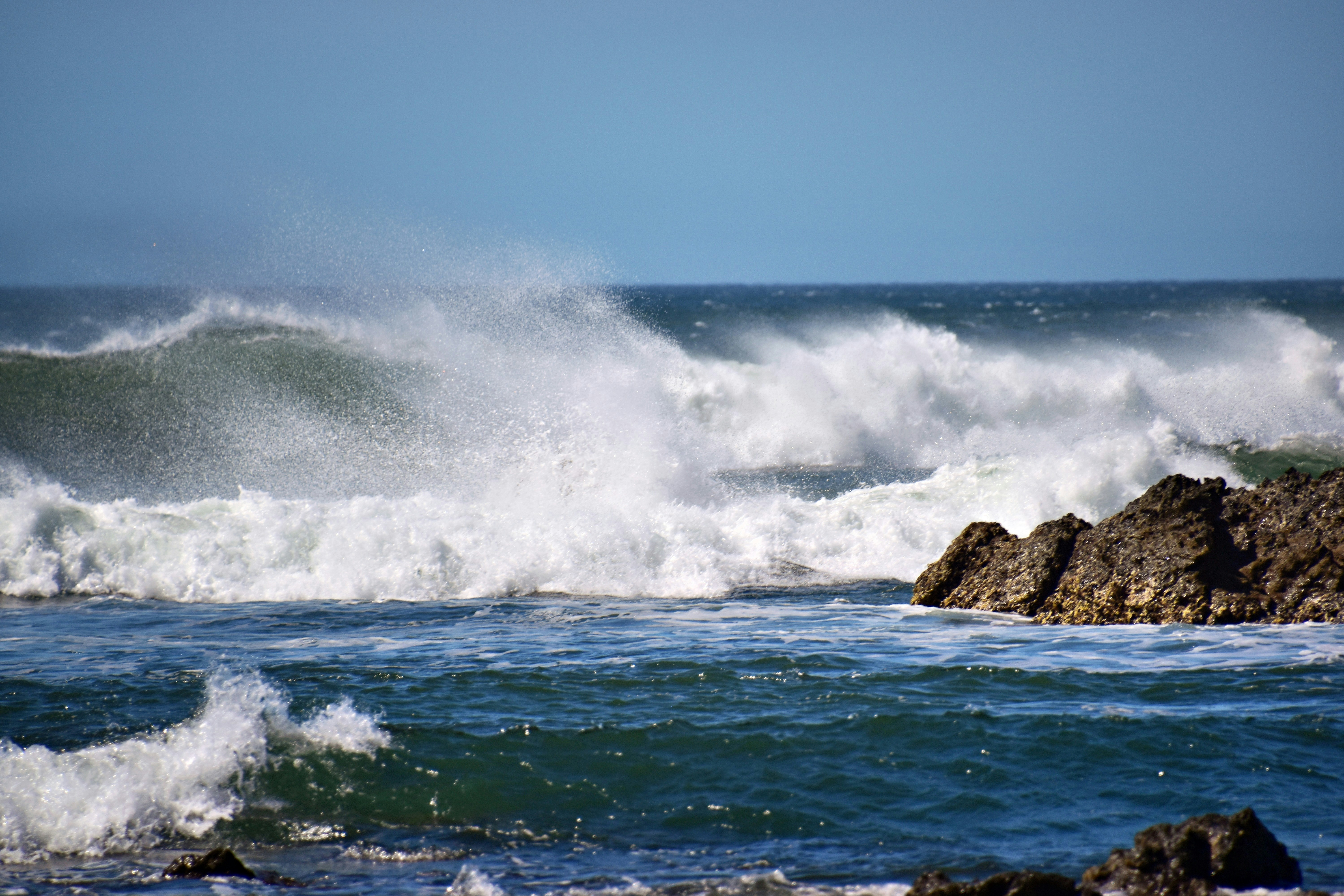 Tamarindo travel photo