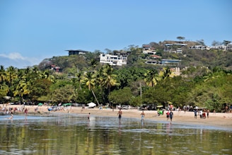 A vibrant beach scene in the Dominican Republic with turquoise waters and palm trees under a bright sky.