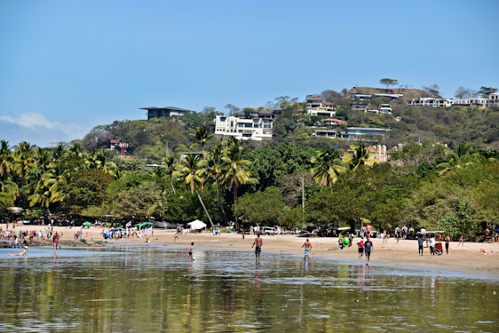 A vibrant beach scene in the Dominican Republic with turquoise waters and palm trees under a bright sky.