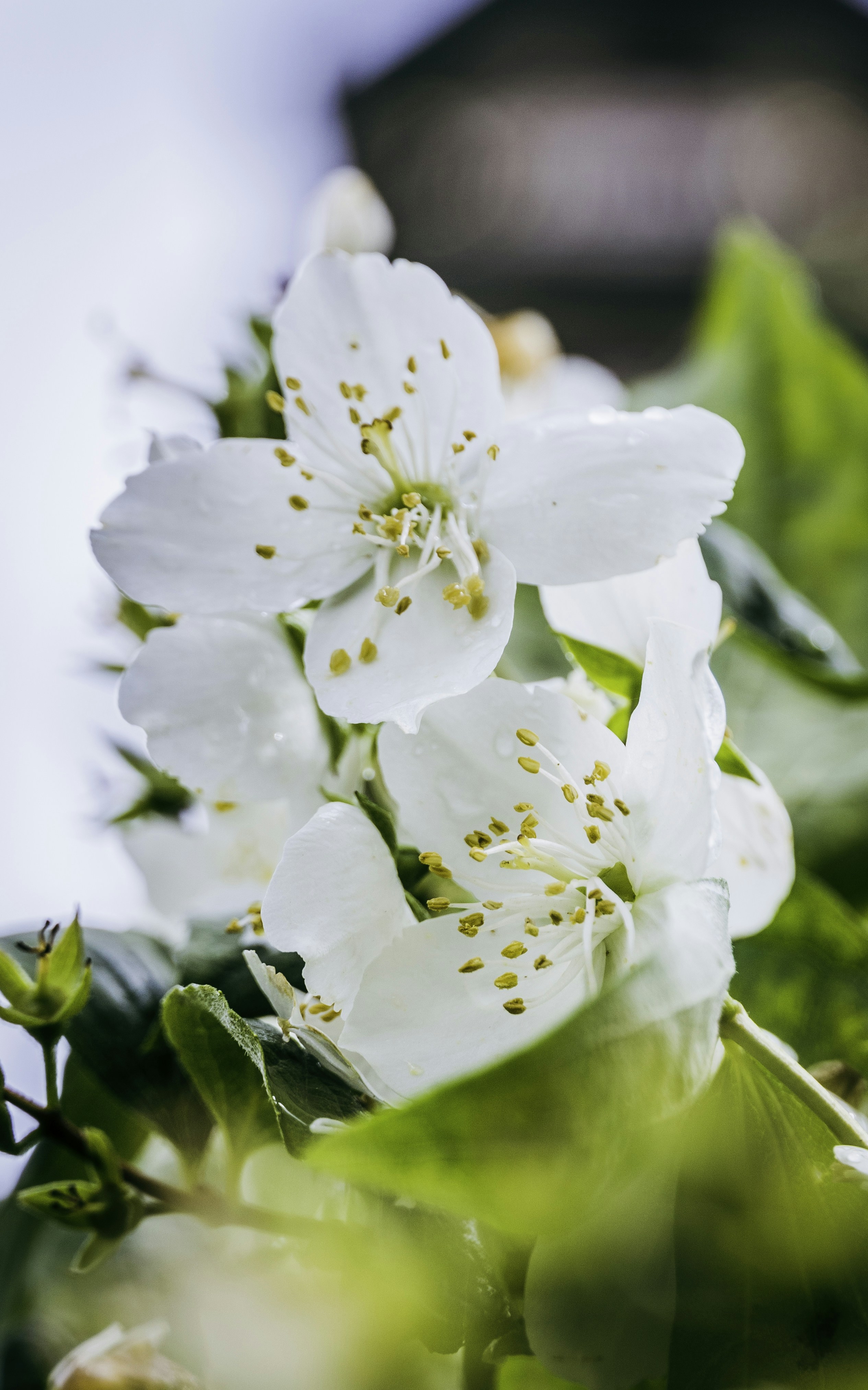 Photo by imgavinwilson