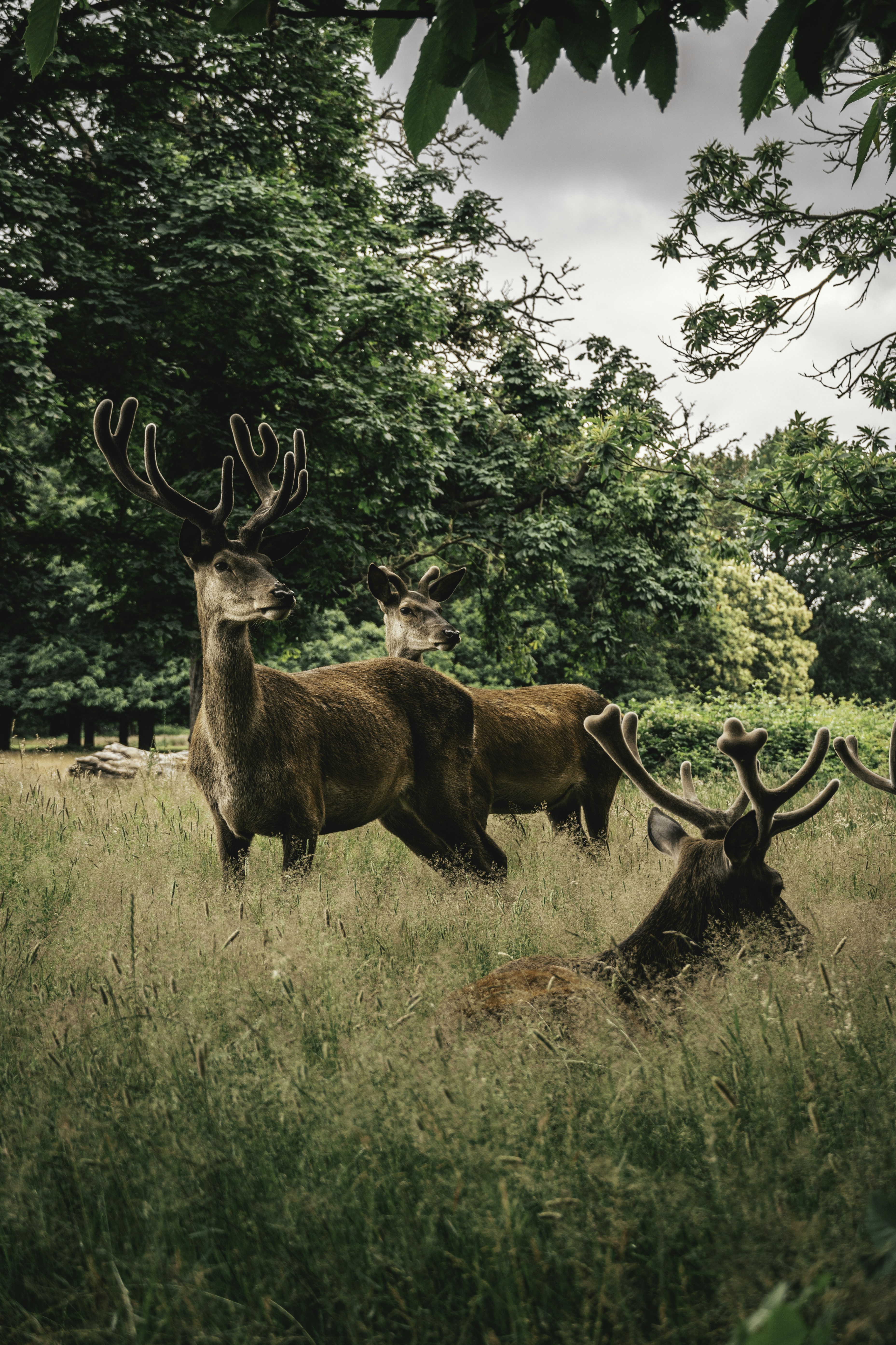 Photo by imgavinwilson