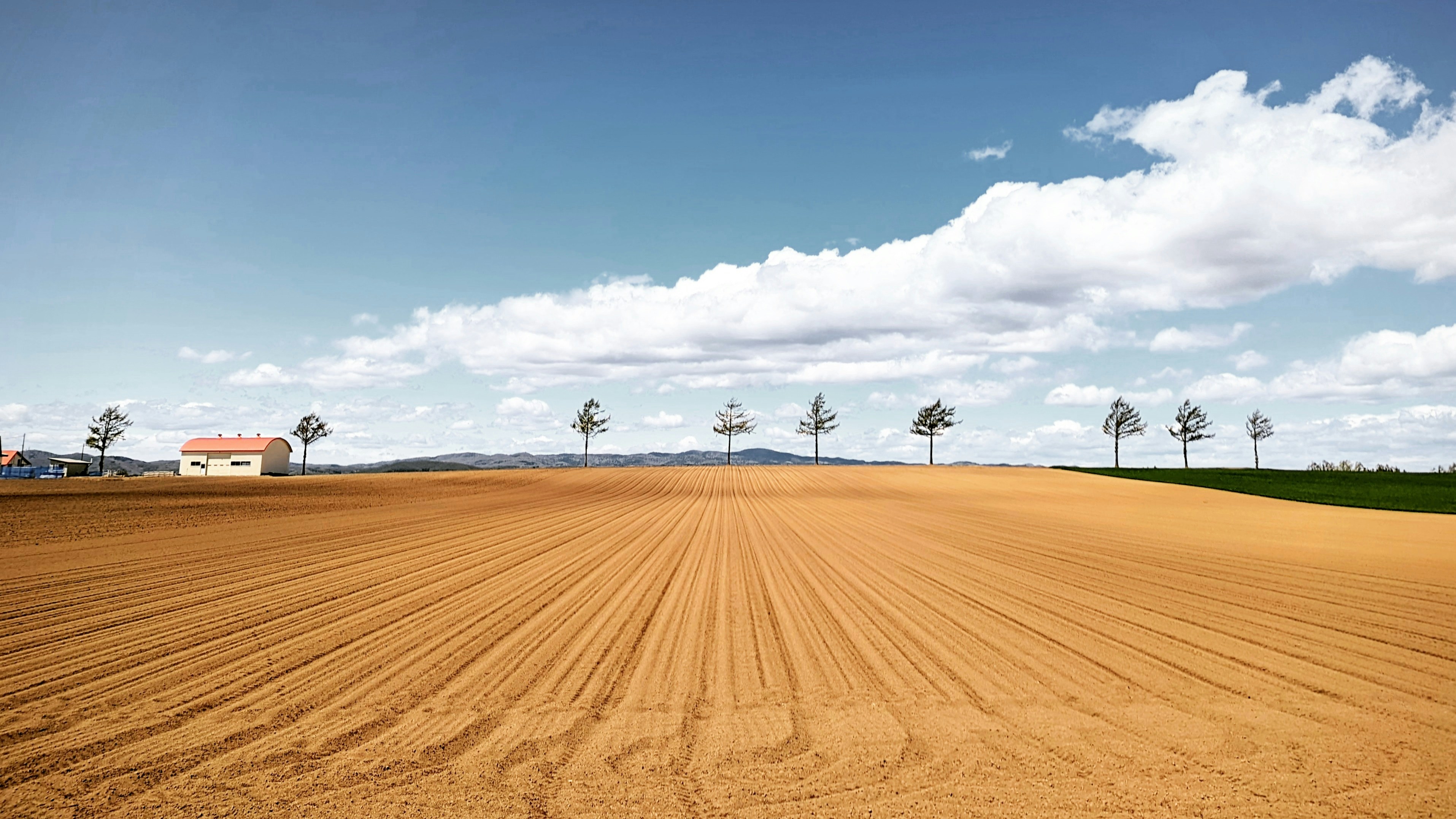 Photo by da_shika_photo