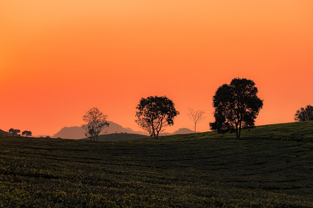 the sun is setting over a grassy hill