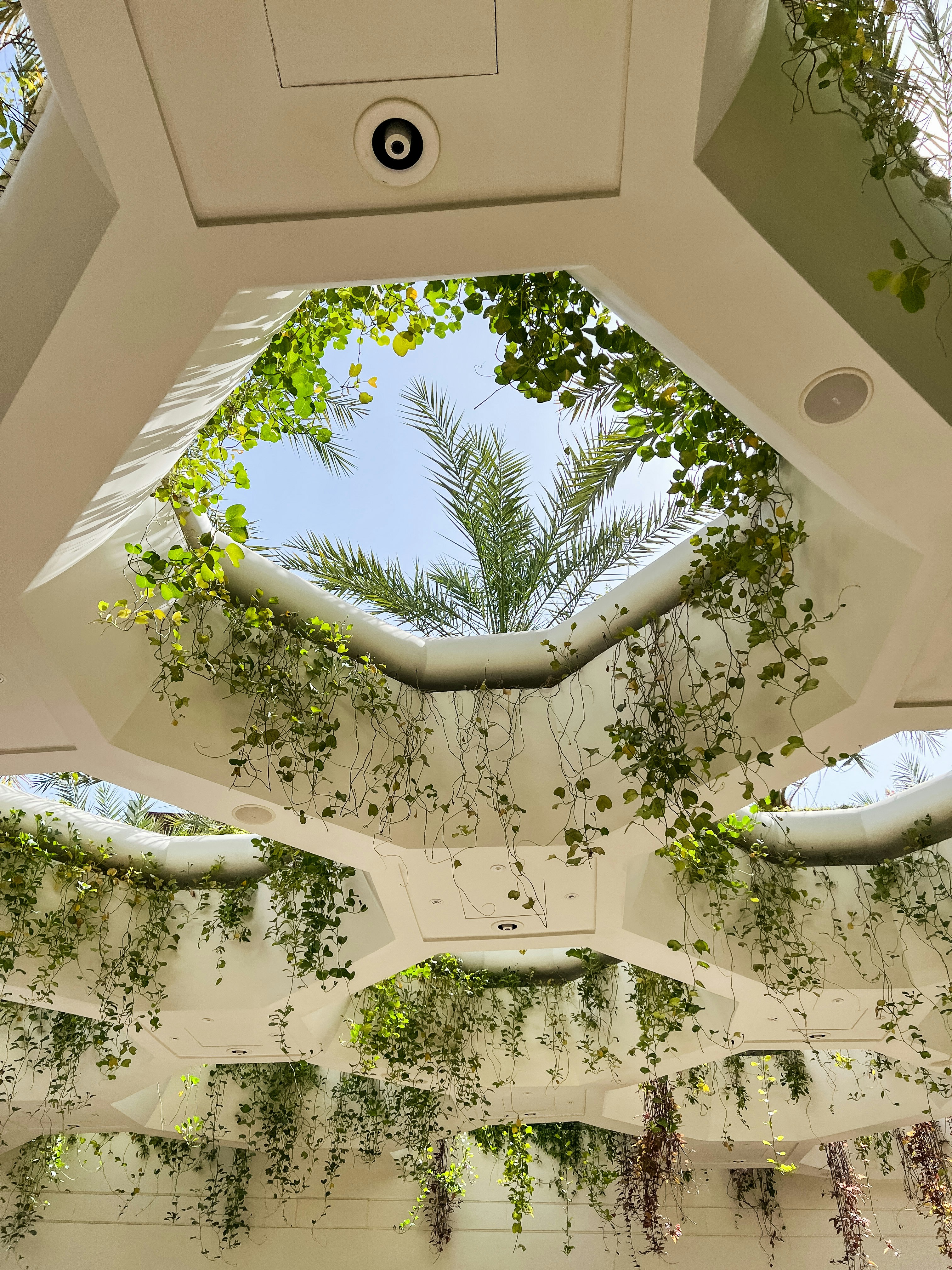 photo-1679500322096-0a5b7be4ee80