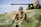 A young person wearing a military-style uniform sits thoughtfully on a grassy field. Medals are pinned to the uniform, and a vintage artillery piece is out of focus in the background, suggesting a historical or military setting. The greenery is lush, with sunlight casting gentle shadows.
