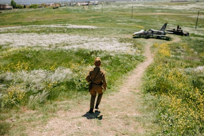 A person in a historical military uniform walks down a grassy path towards an old, abandoned fighter jet positioned in a lush, open field with scattered yellow flowers. The landscape is expansive, with gentle hills and a blend of green and brown patches.