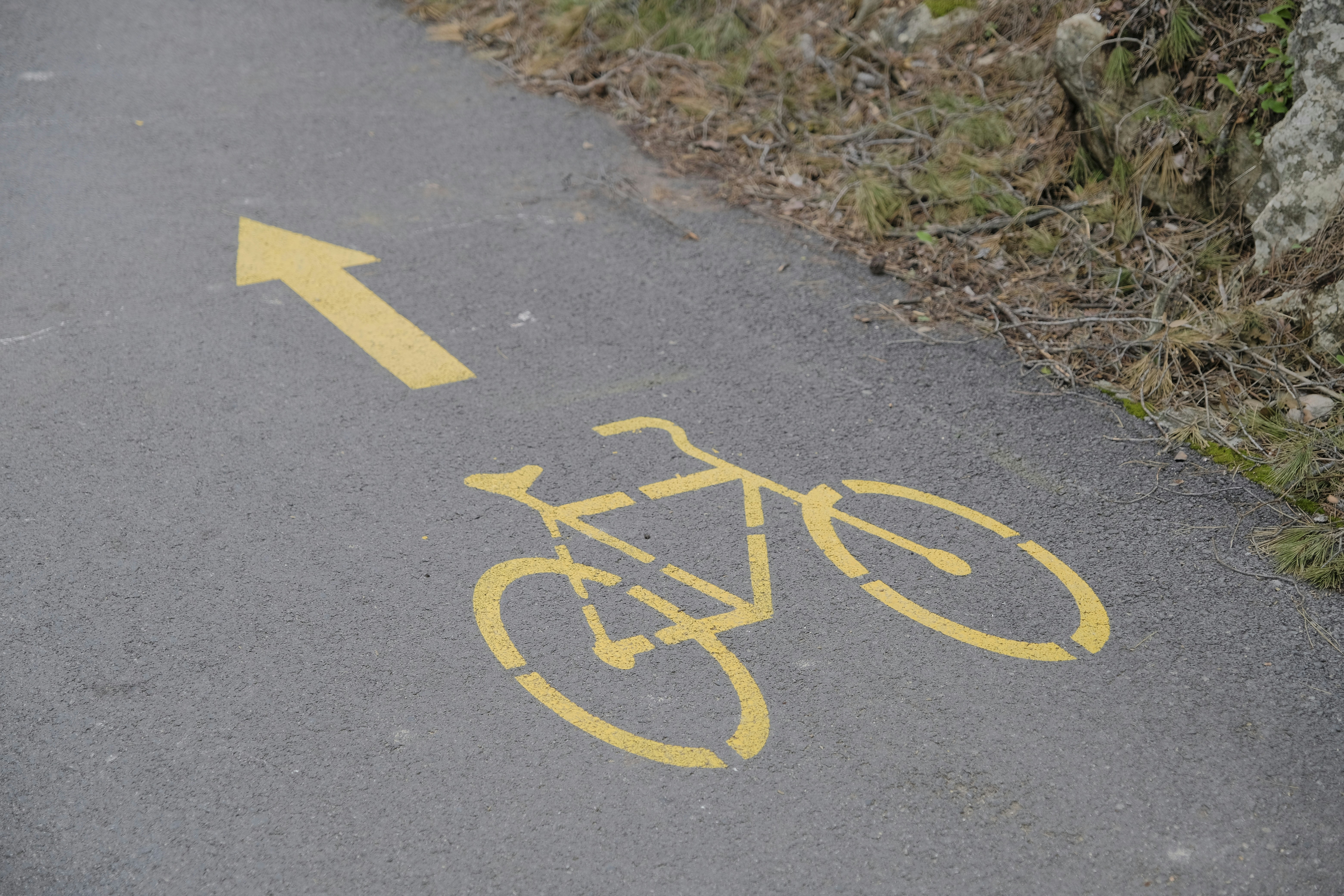 a bike lane with a yellow arrow painted on it