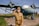 A young person dressed in a vintage military uniform, complete with medals, salutes in front of a weathered, older model airplane with significant chipping paint. The backdrop includes a grassy field and a clear blue sky, adding to a historical ambiance.
