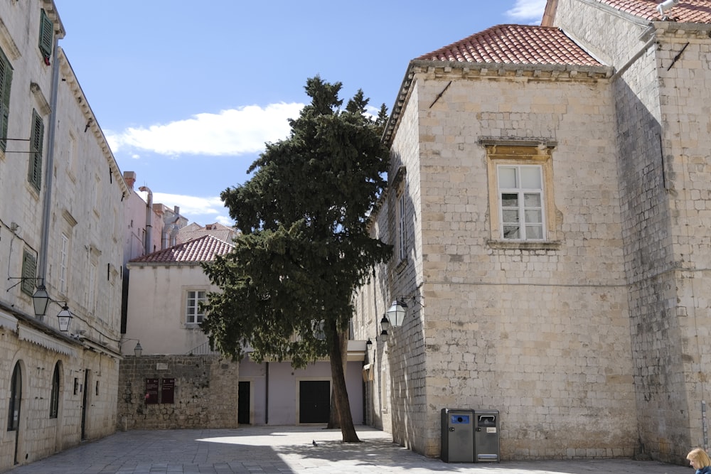 Un árbol en medio de un callejón