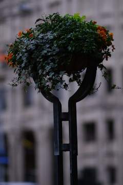 Modern iron plant holder displayed with vibrant green plants indoors.