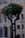 A decorative plant holder mounted on a metal stand contains lush green foliage with bright orange flowers. The background is a blurred urban setting, possibly a building exterior, giving a subtle contrast to the vibrant greenery.