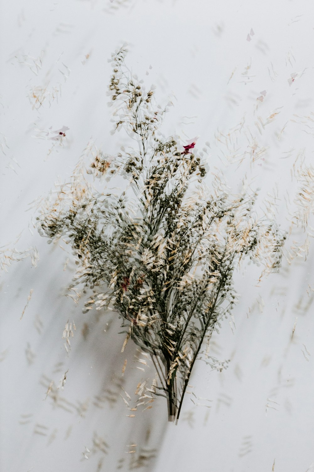 a bunch of flowers that are on a table