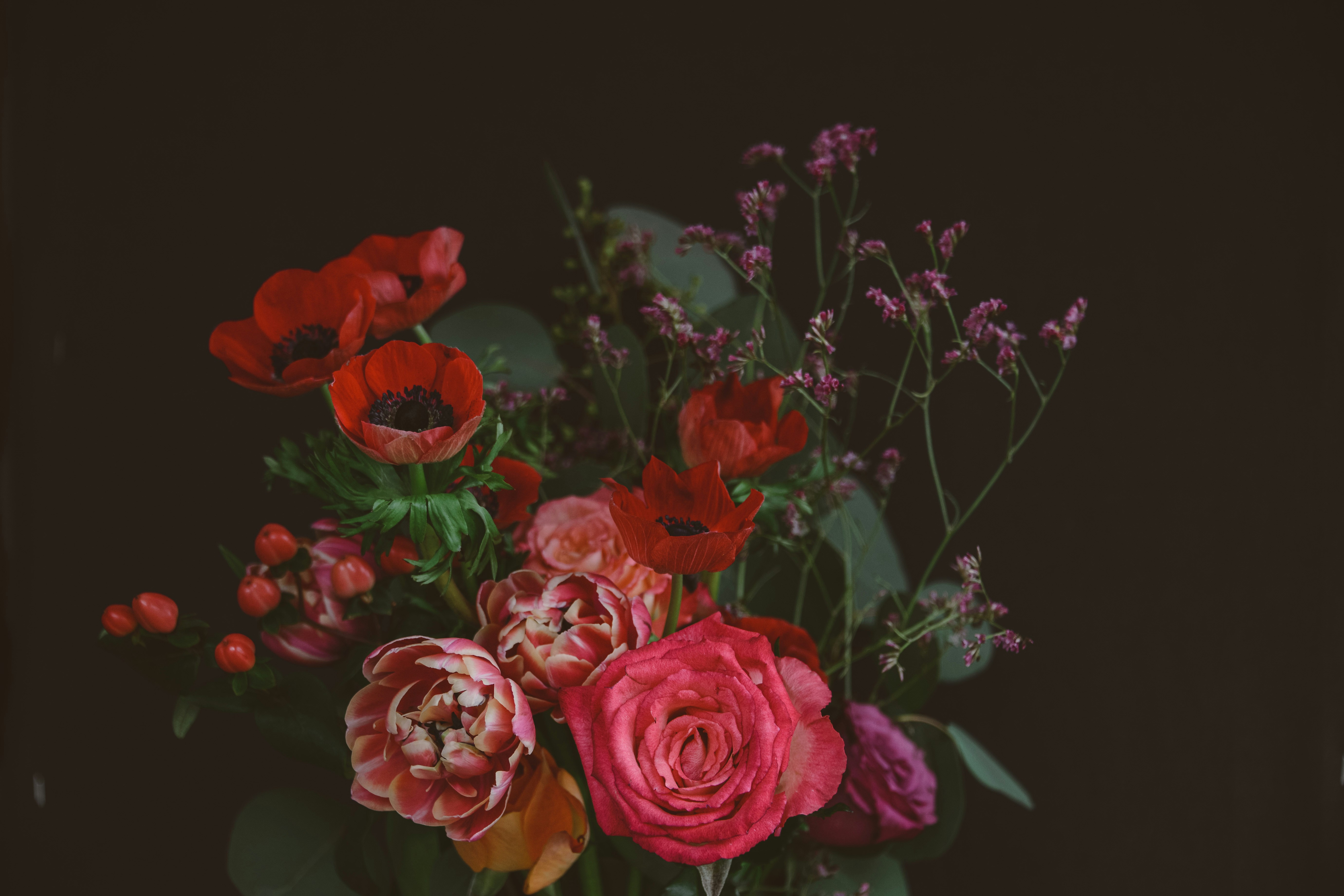 Photo by anitaaustvika