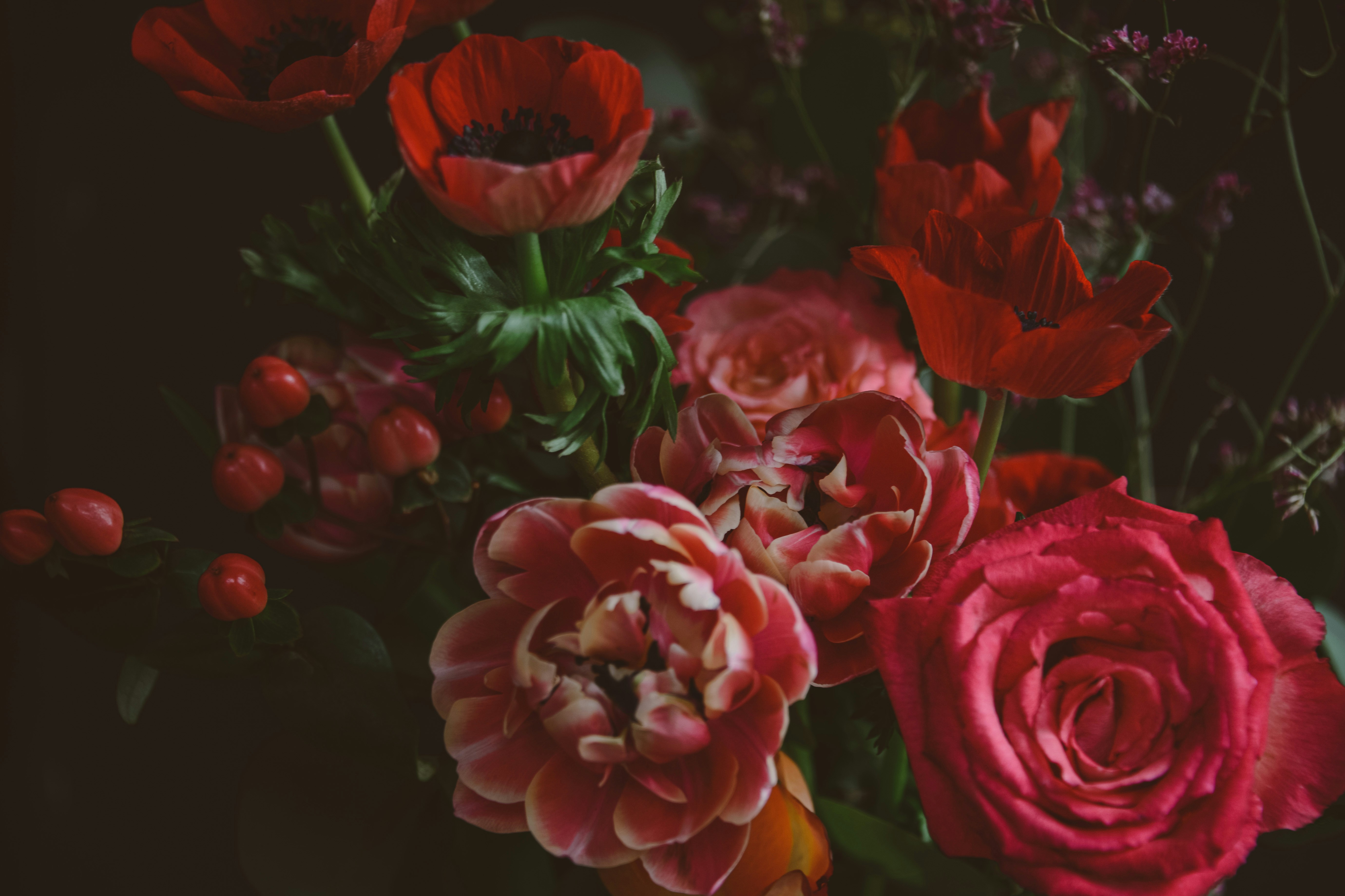 Photo by anitaaustvika