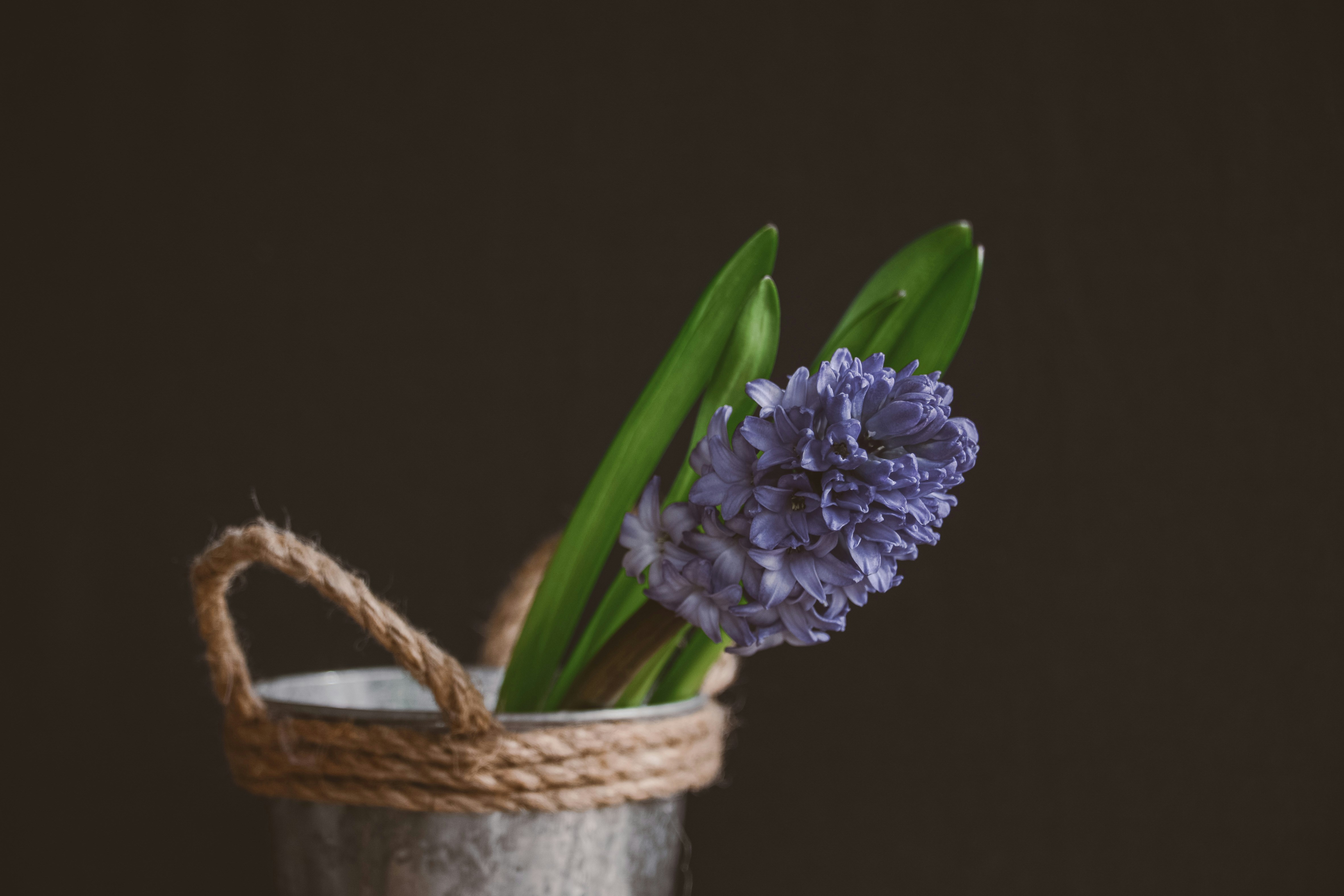 Photo by anitaaustvika