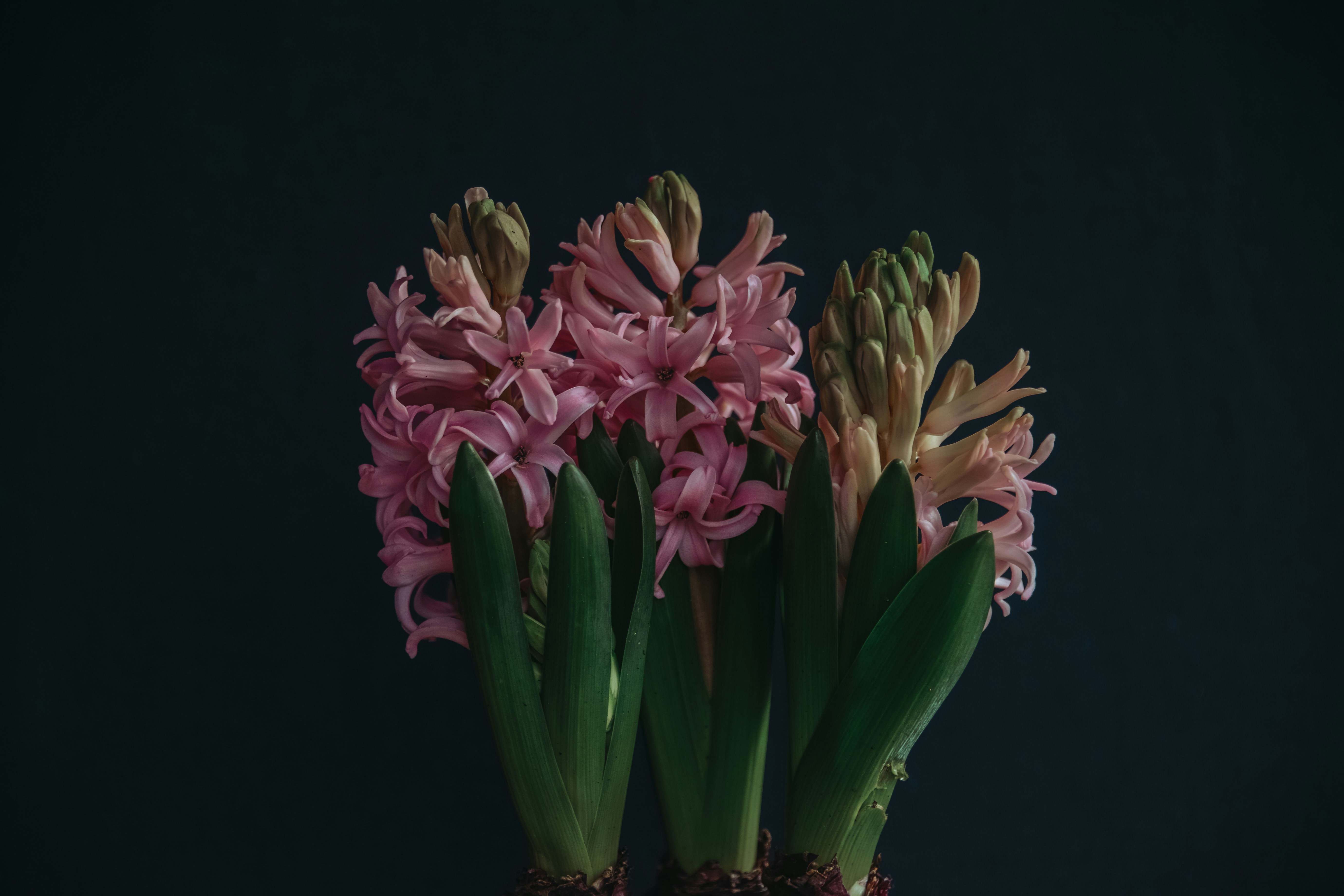 Photo by anitaaustvika