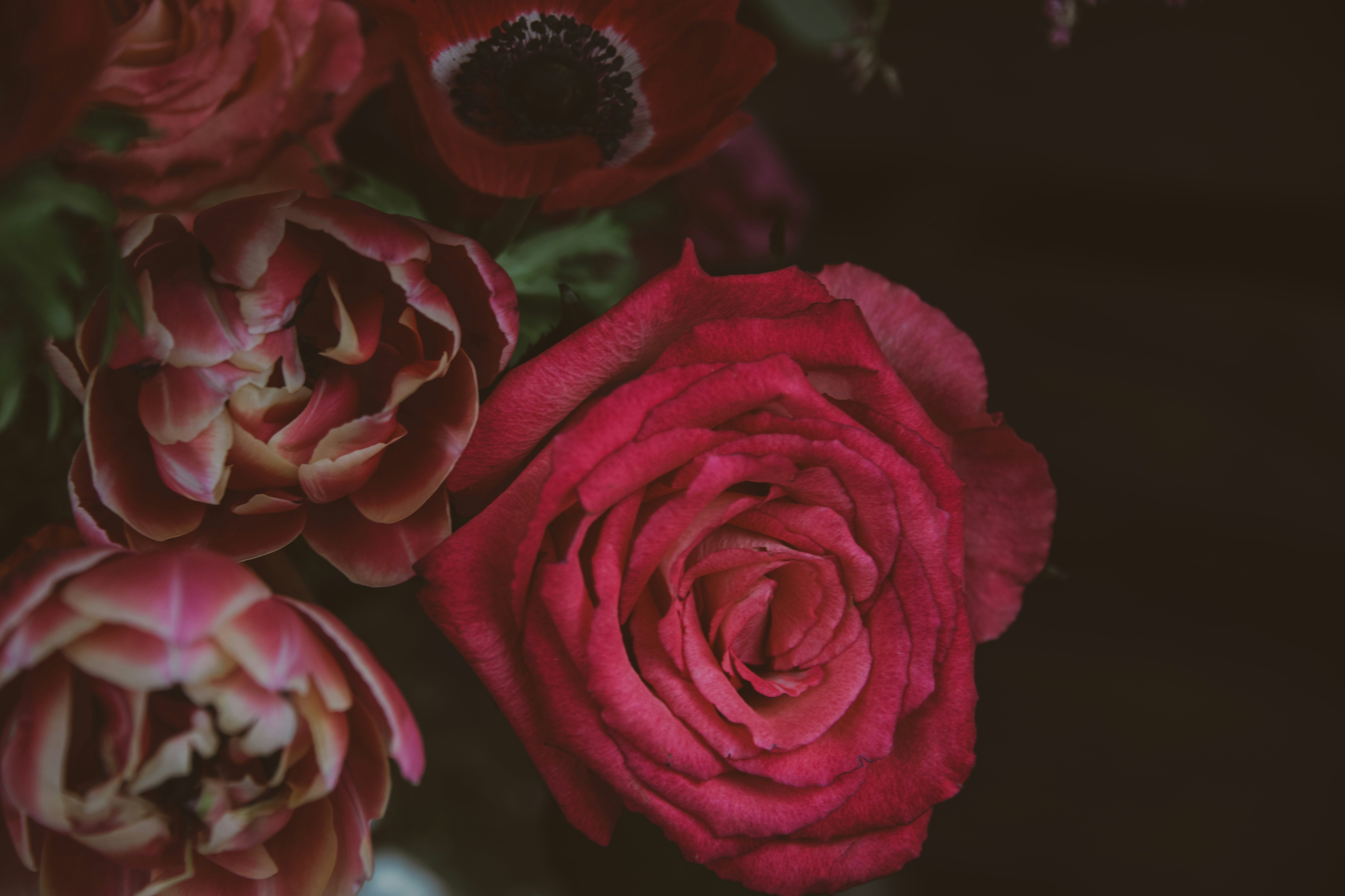 Photo by anitaaustvika