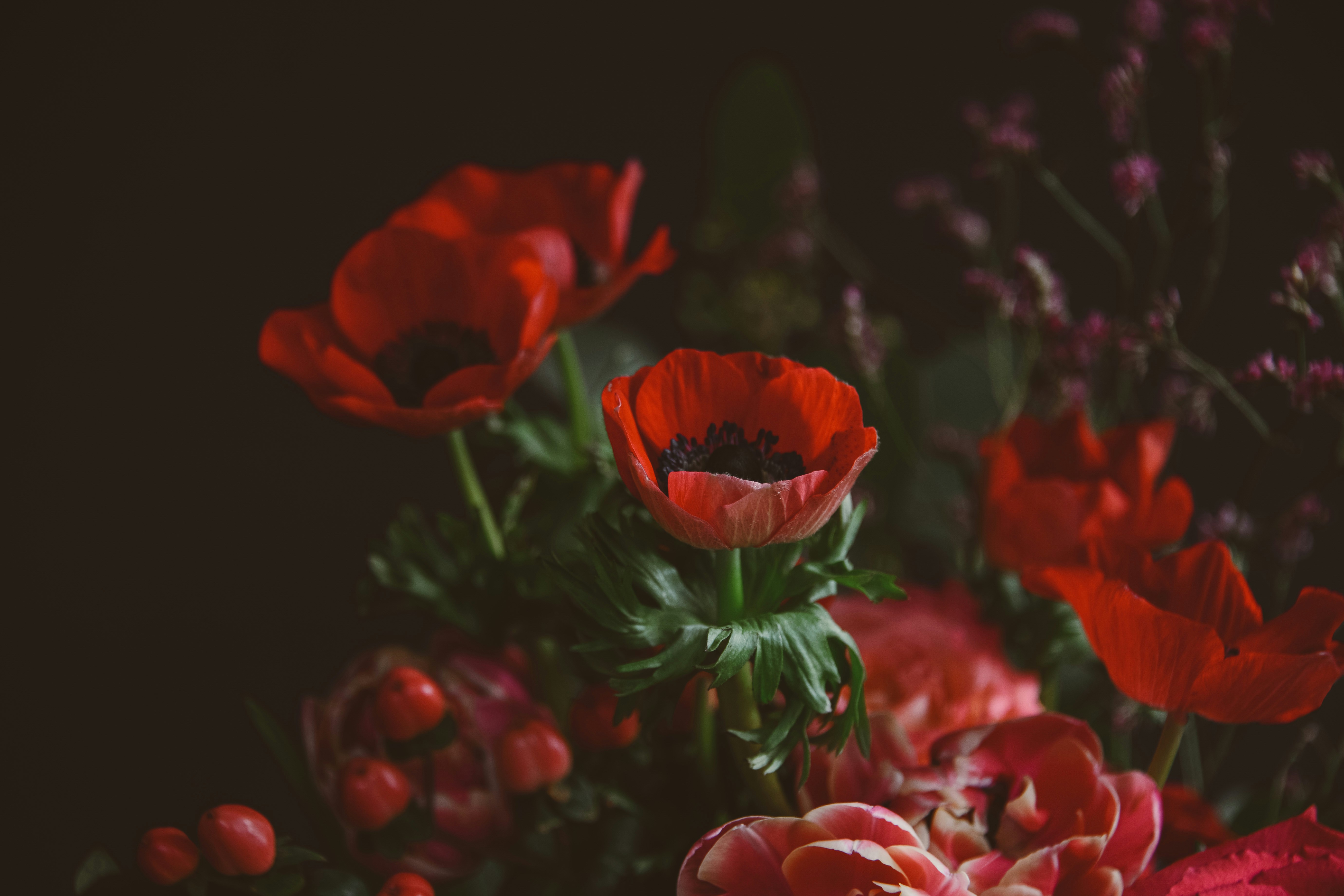 Photo by anitaaustvika