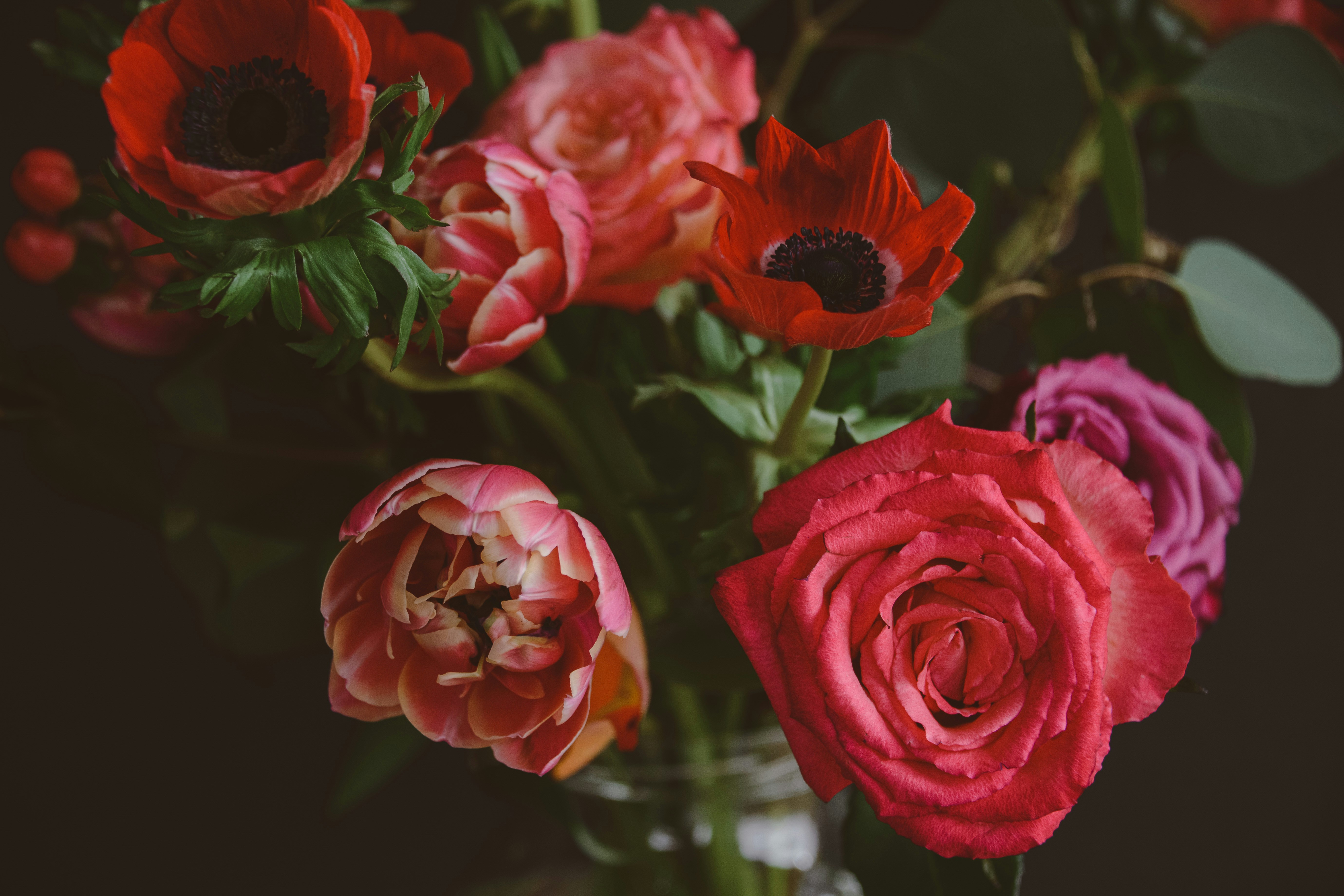 Photo by anitaaustvika