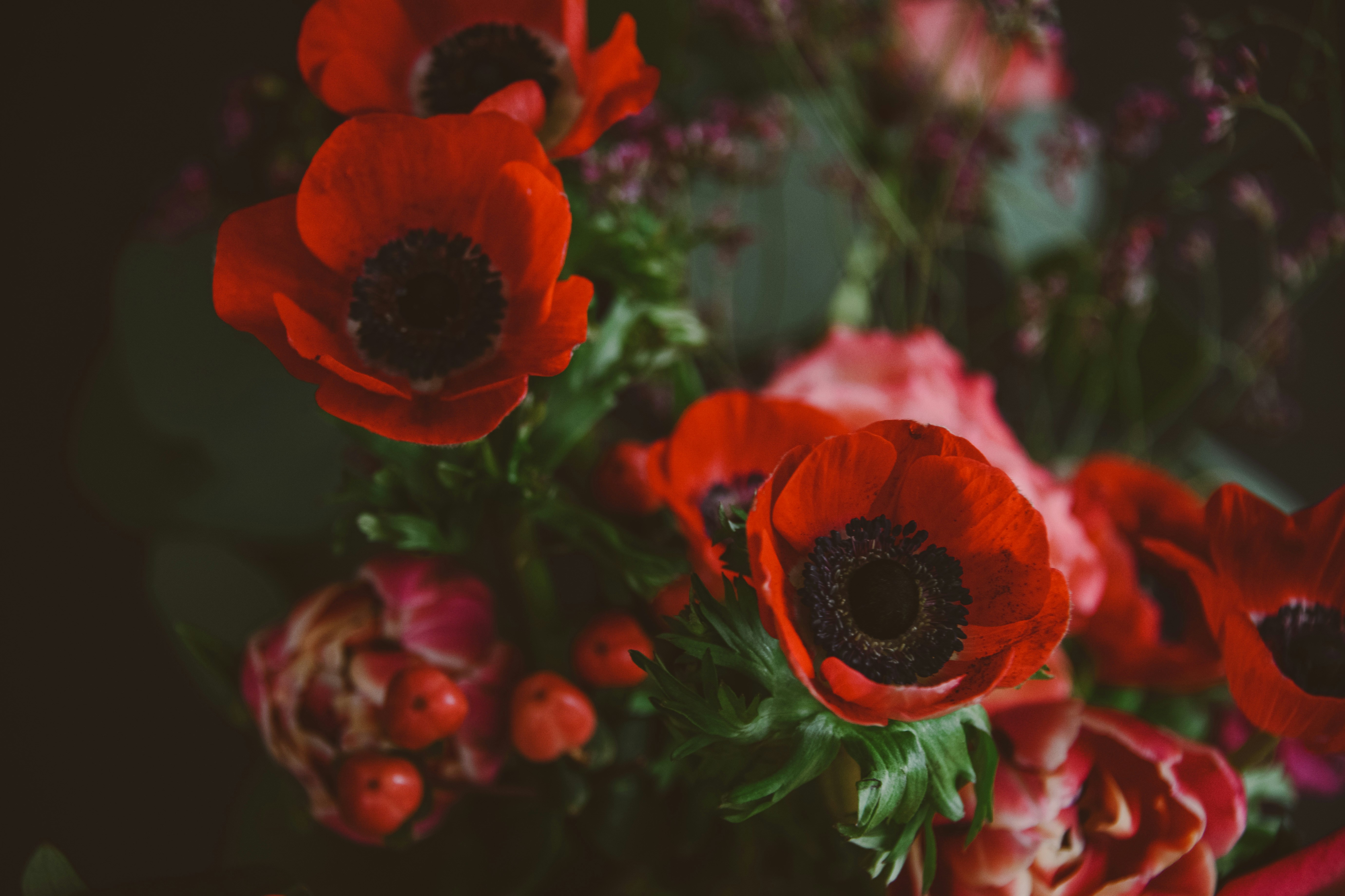 Photo by anitaaustvika