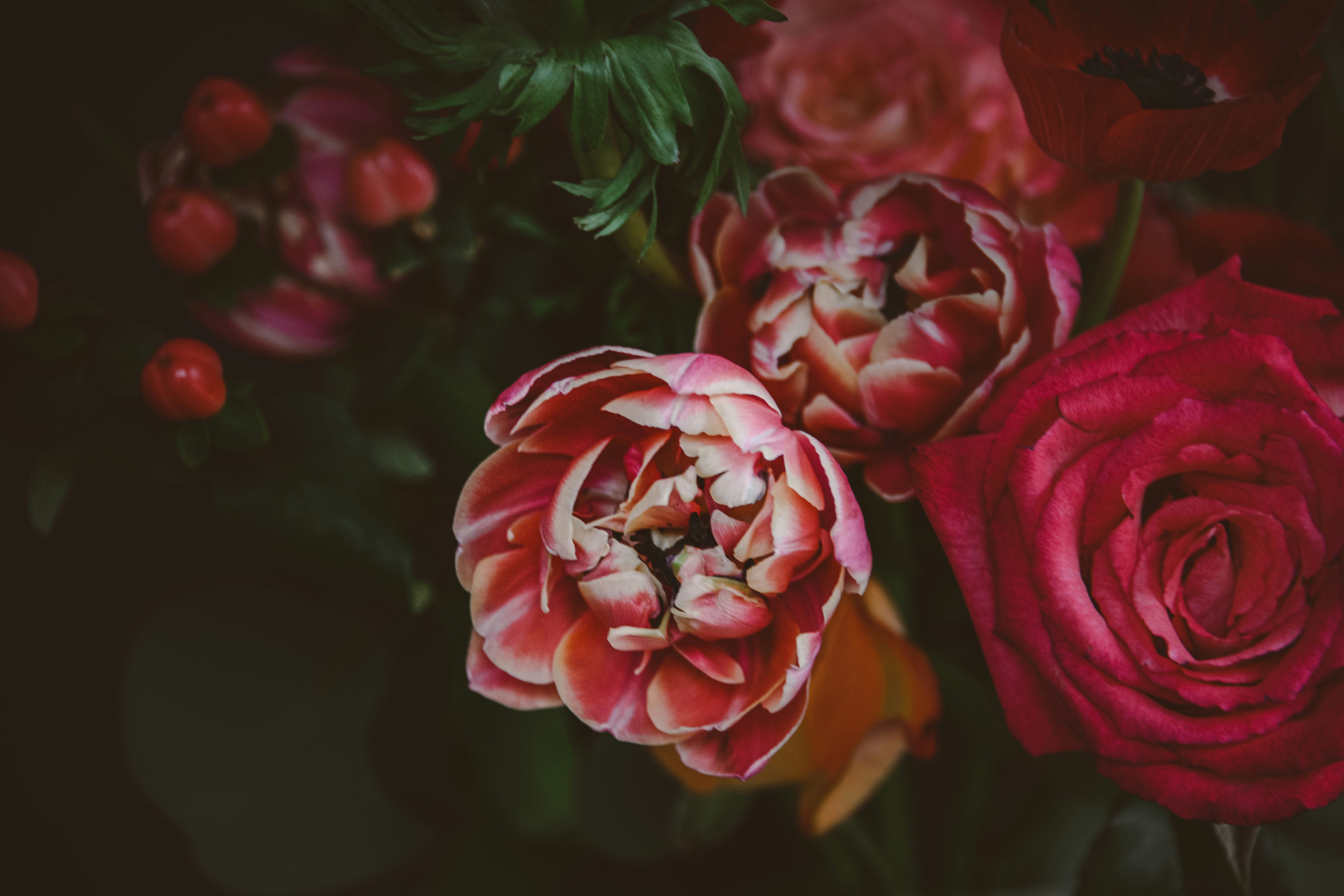 Photo by anitaaustvika