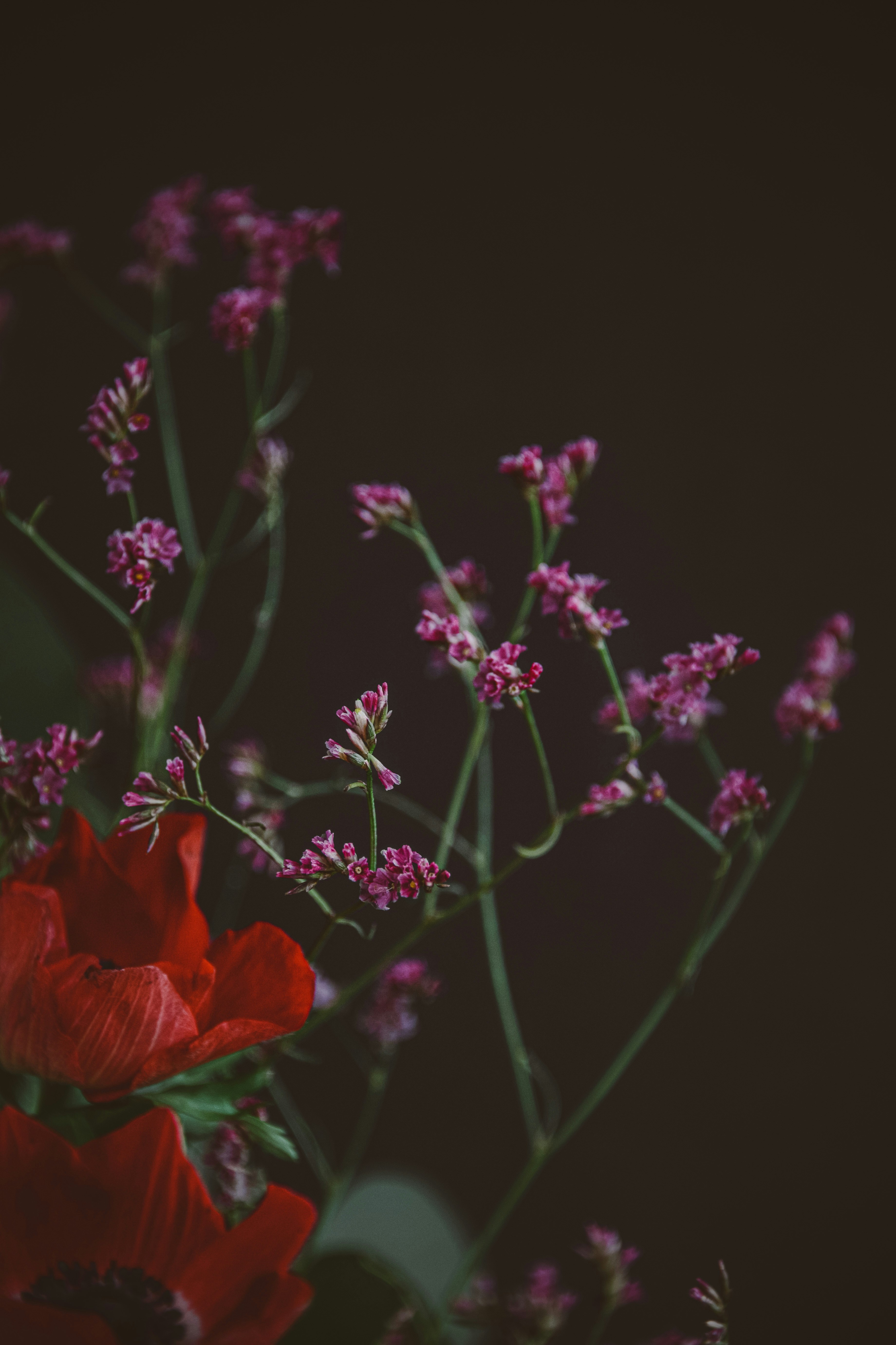 Photo by anitaaustvika