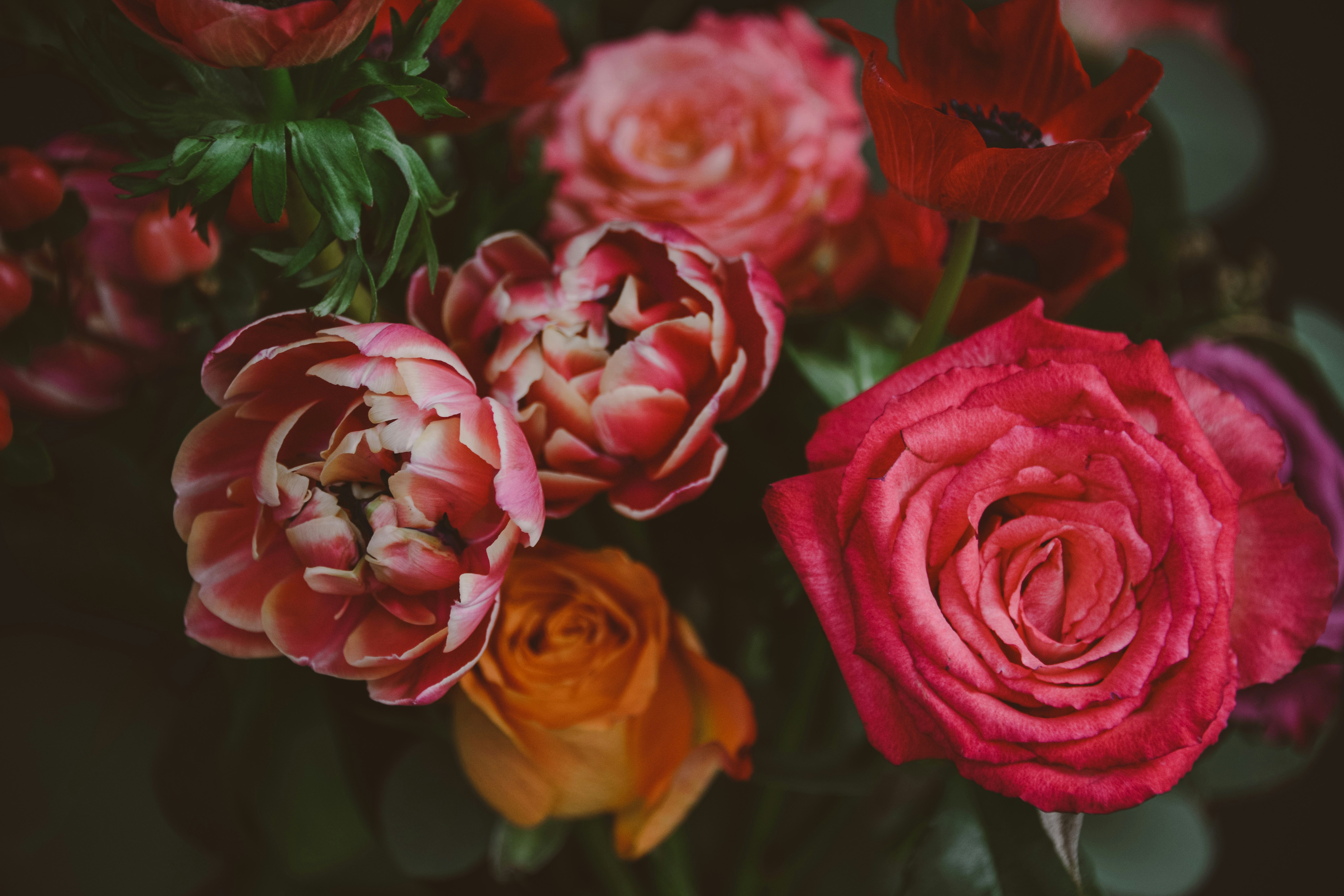 Photo by anitaaustvika