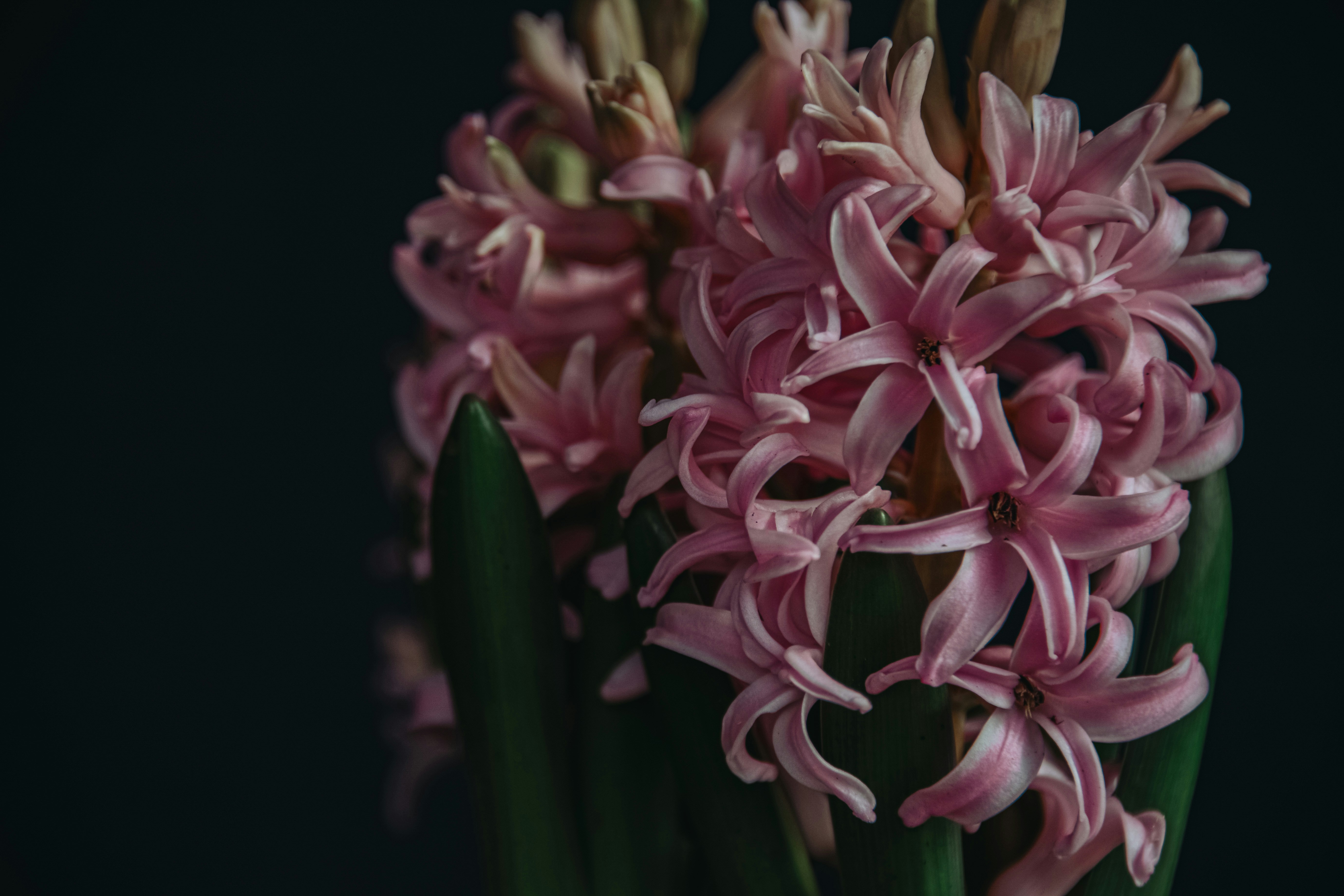 Photo by anitaaustvika