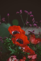 a bunch of flowers that are in a vase