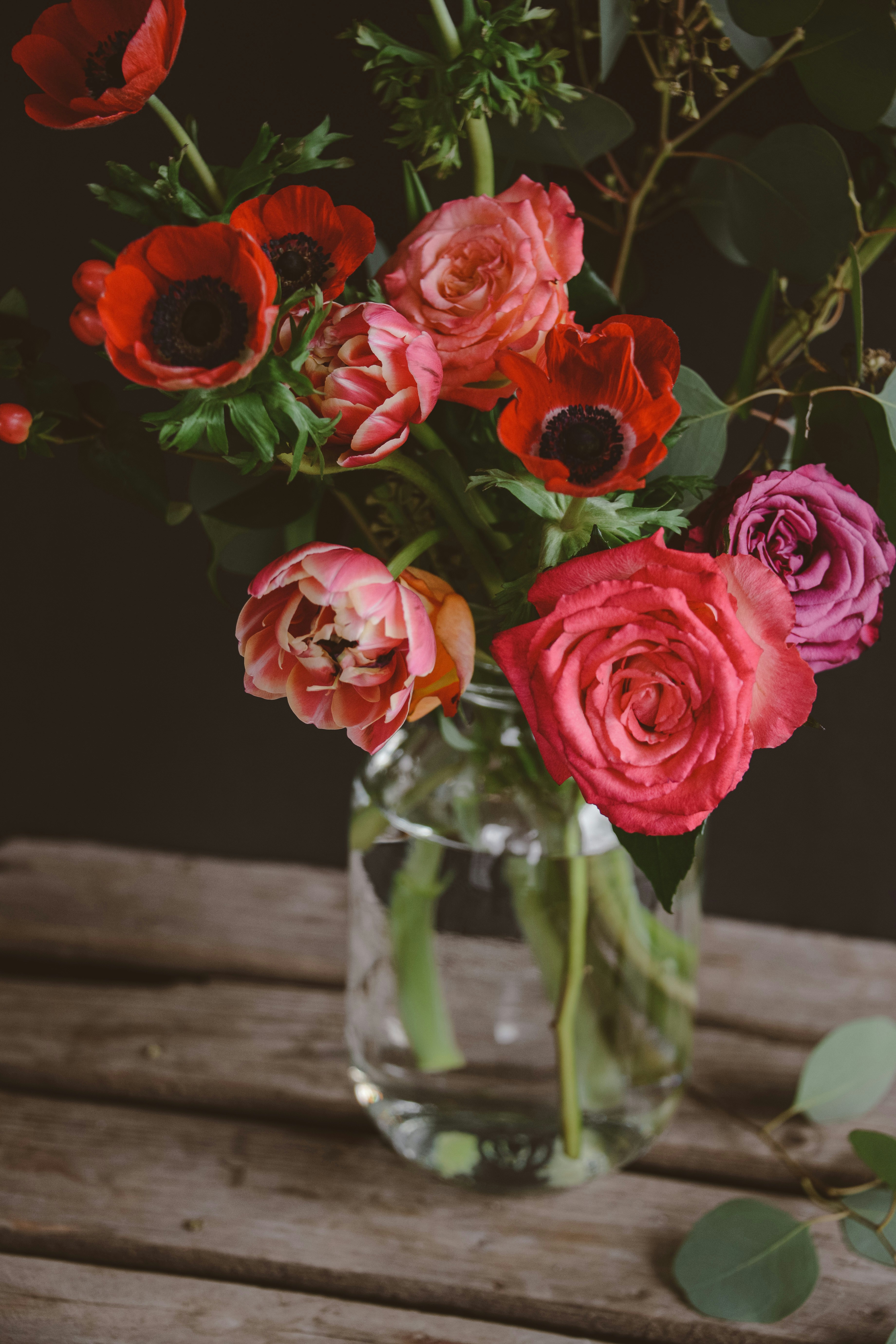 Photo by anitaaustvika