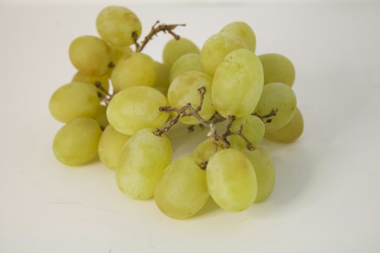 A cluster of green grapes with a smooth texture, resting against a plain white background. The grapes are attached to brown stems, showing a vibrant and fresh appearance.