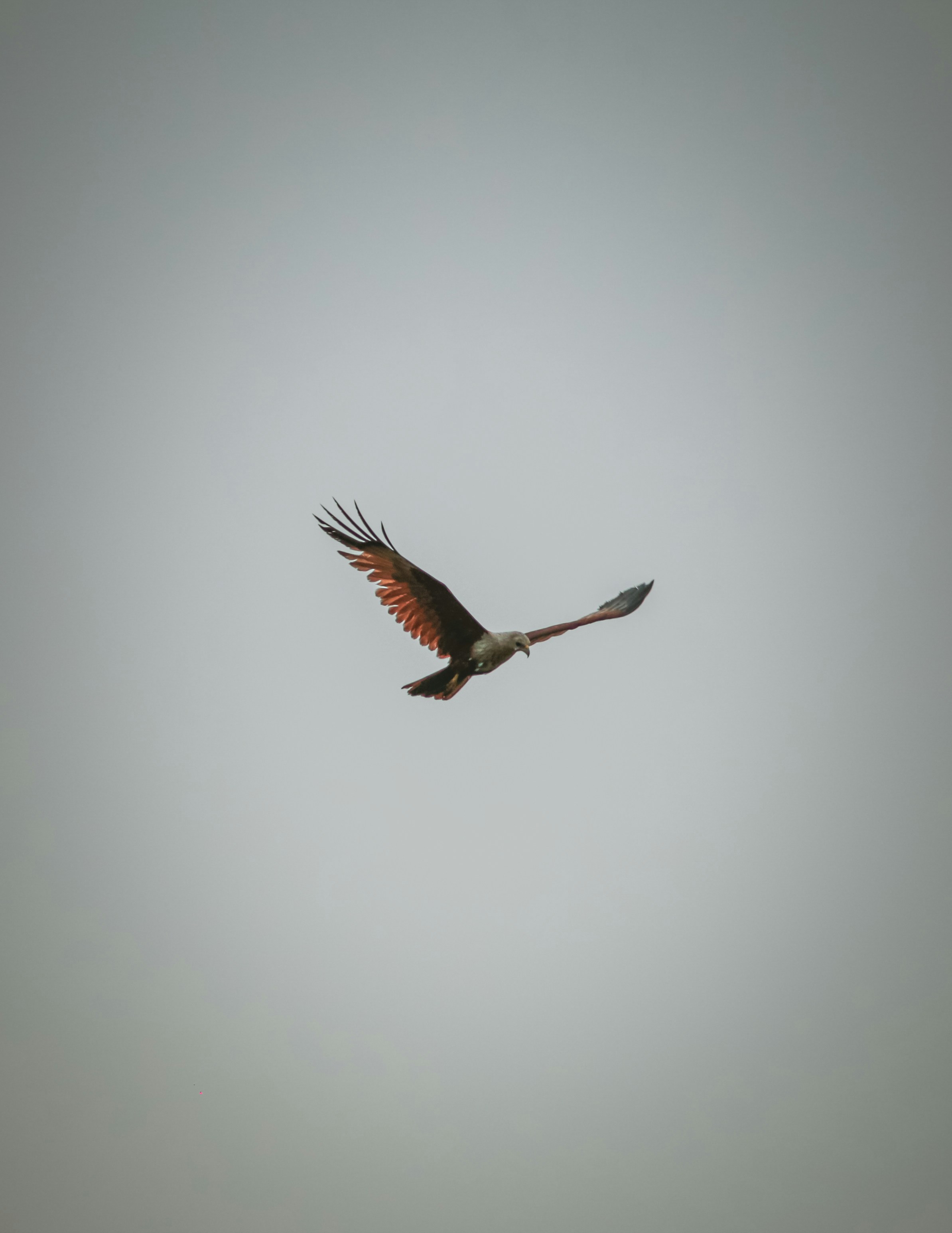 Photo by ig__prajwal