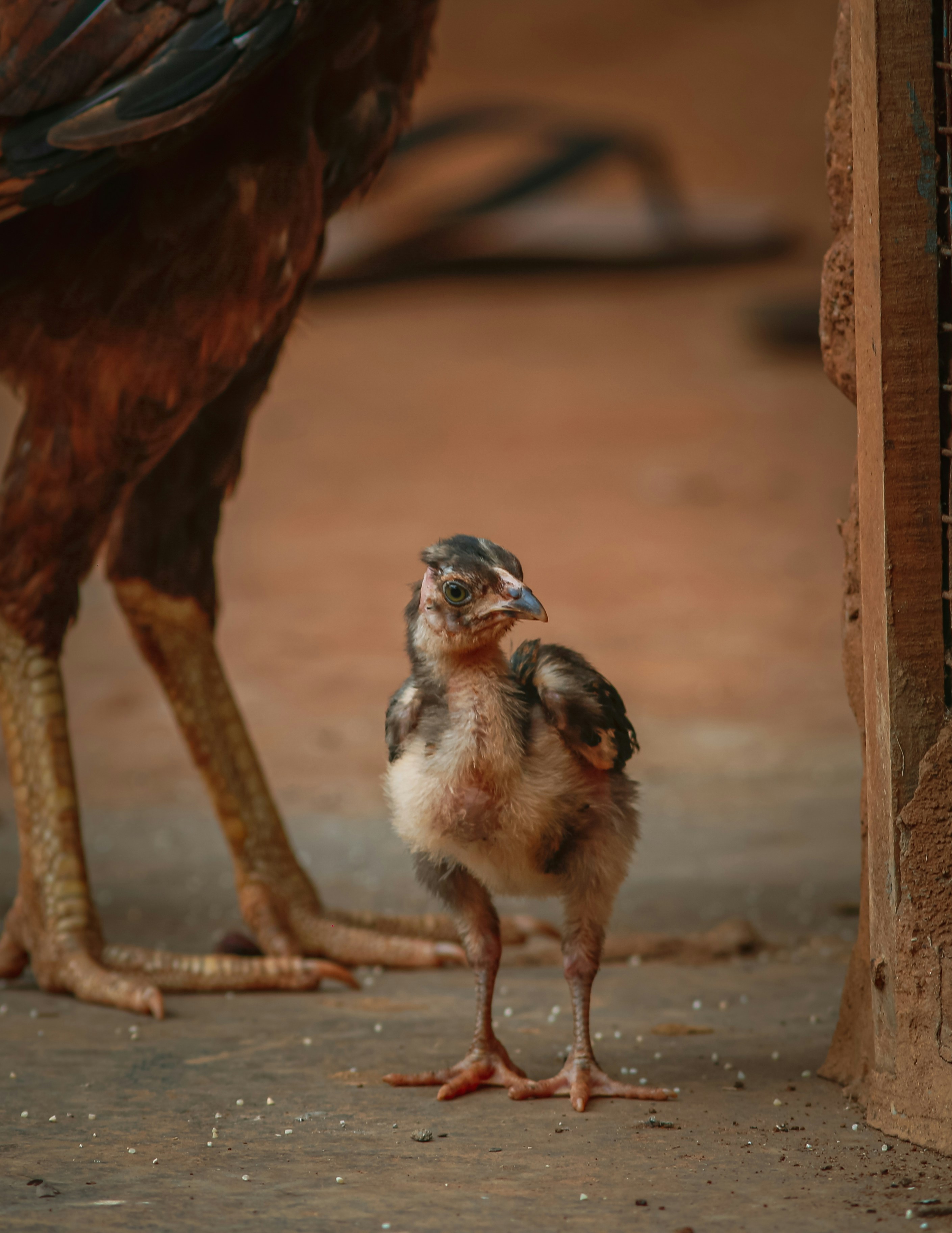 Photo by ig__prajwal