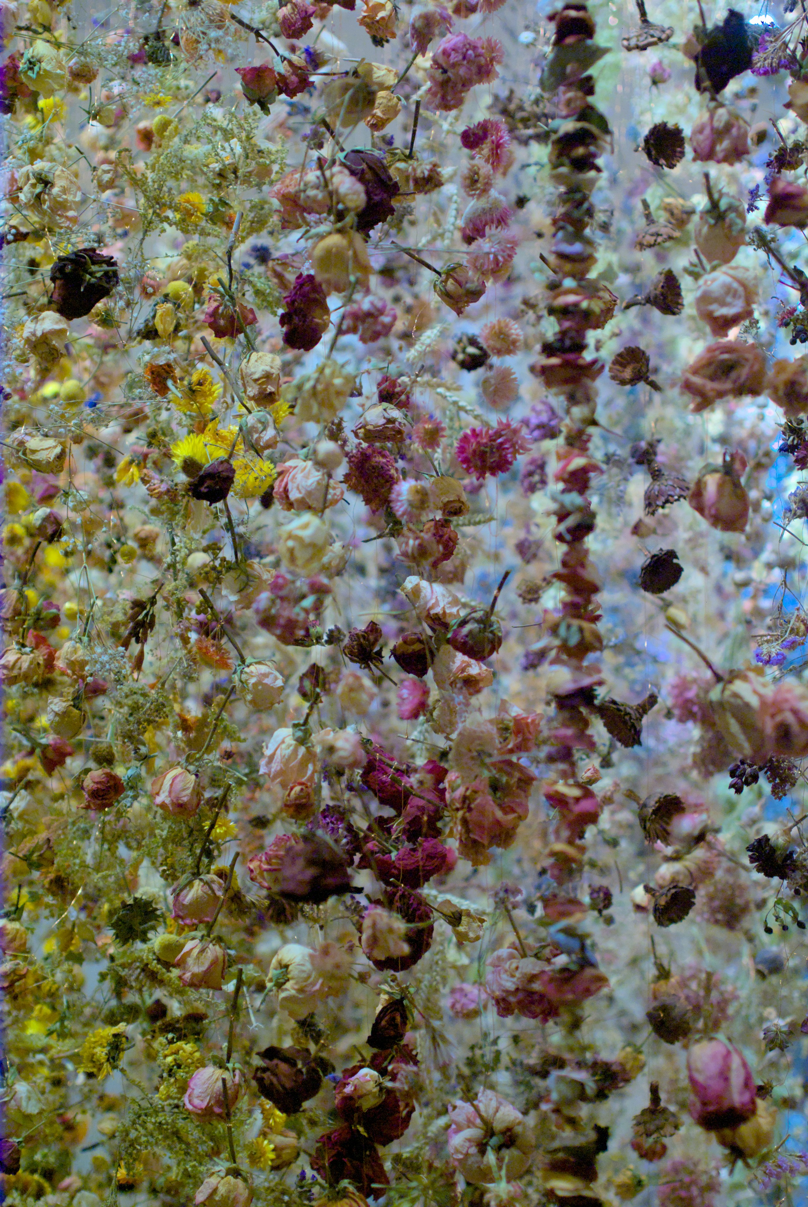 Photo by paulschnuerle