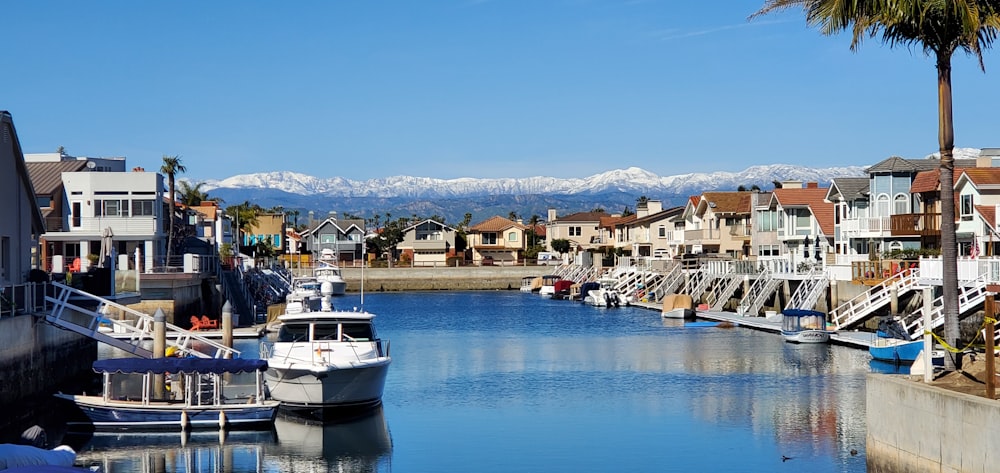 a body of water with a bunch of boats in it